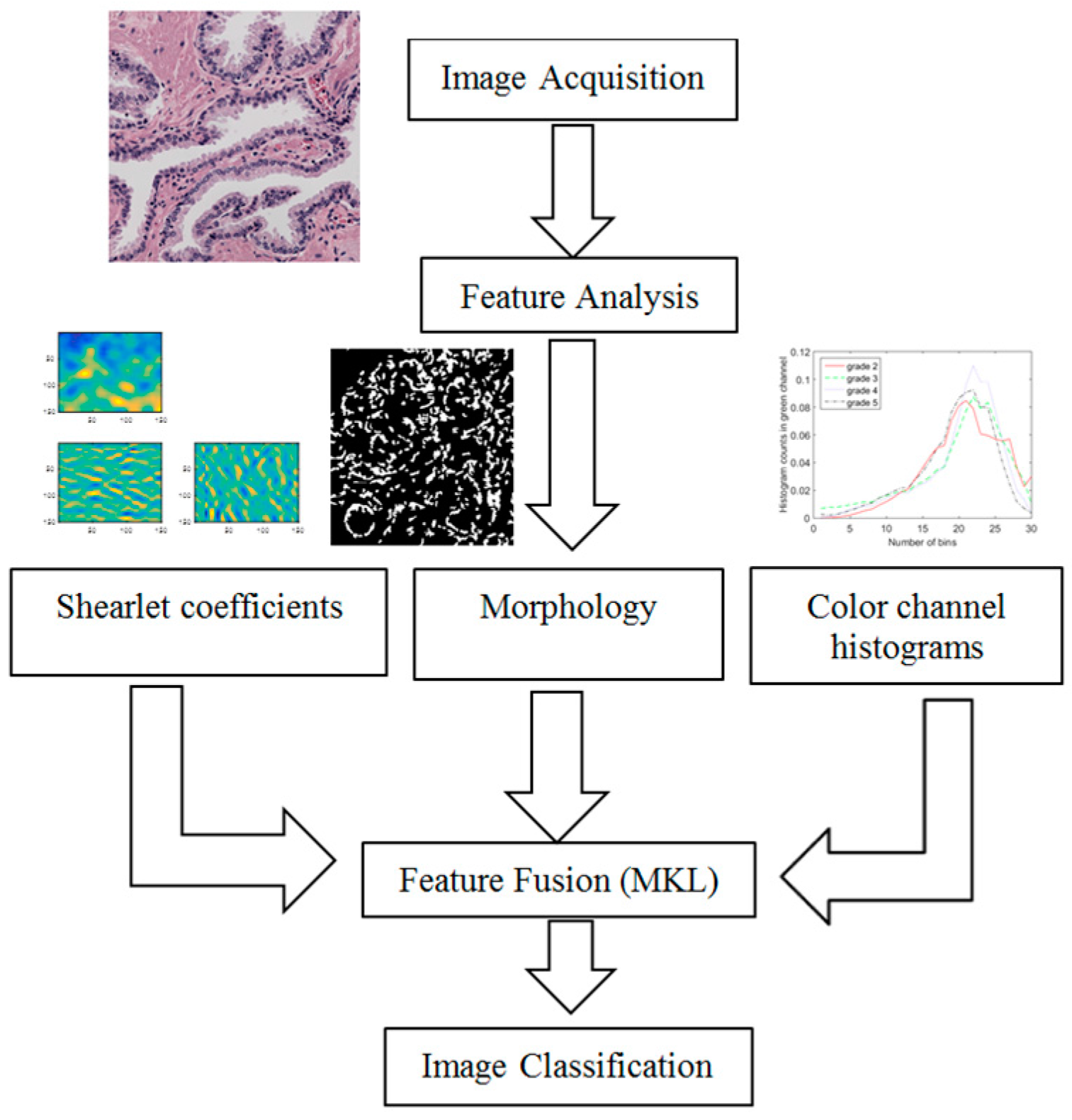 Jimaging 02 00025 g003