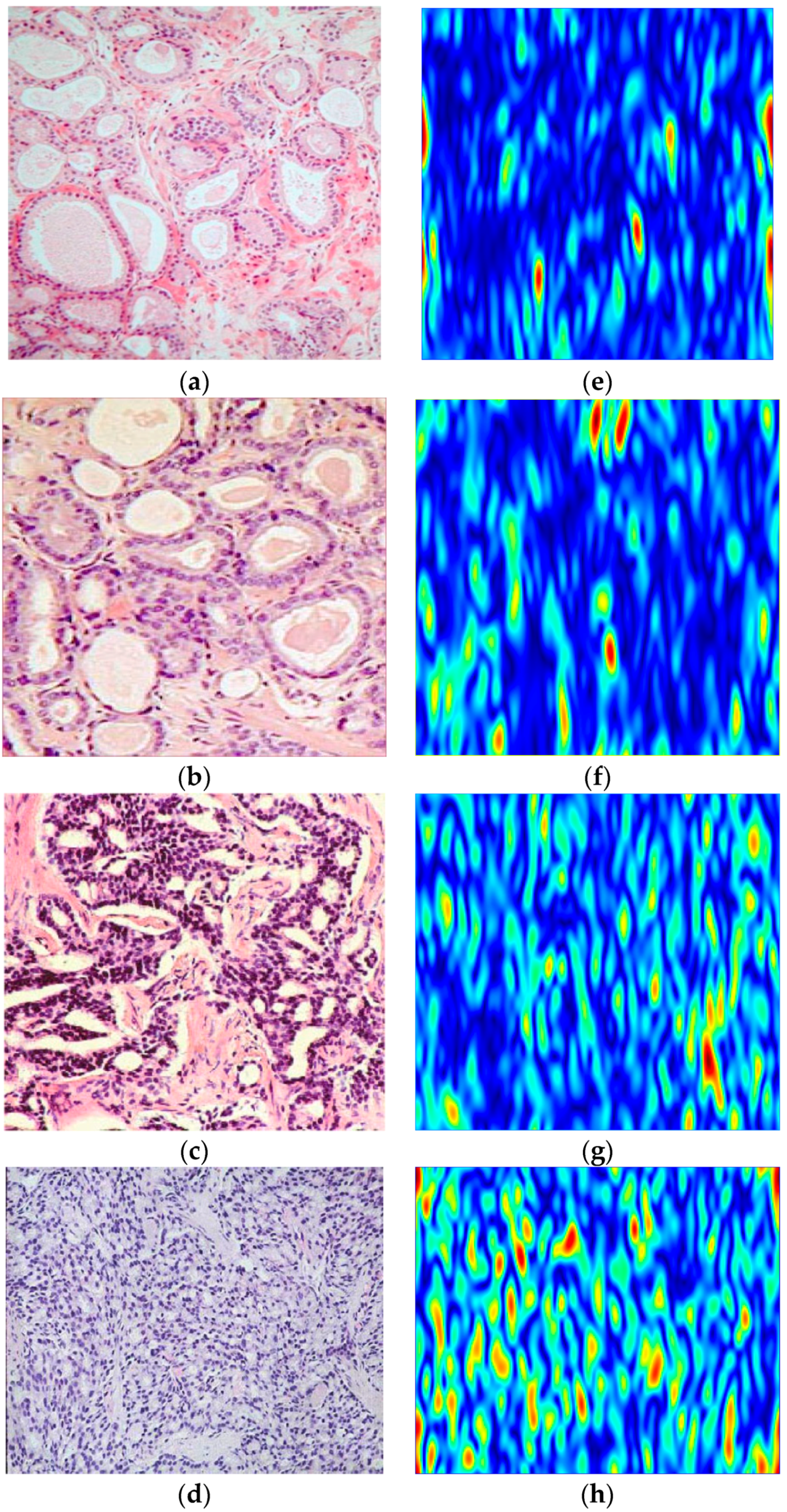 Jimaging 02 00025 g006