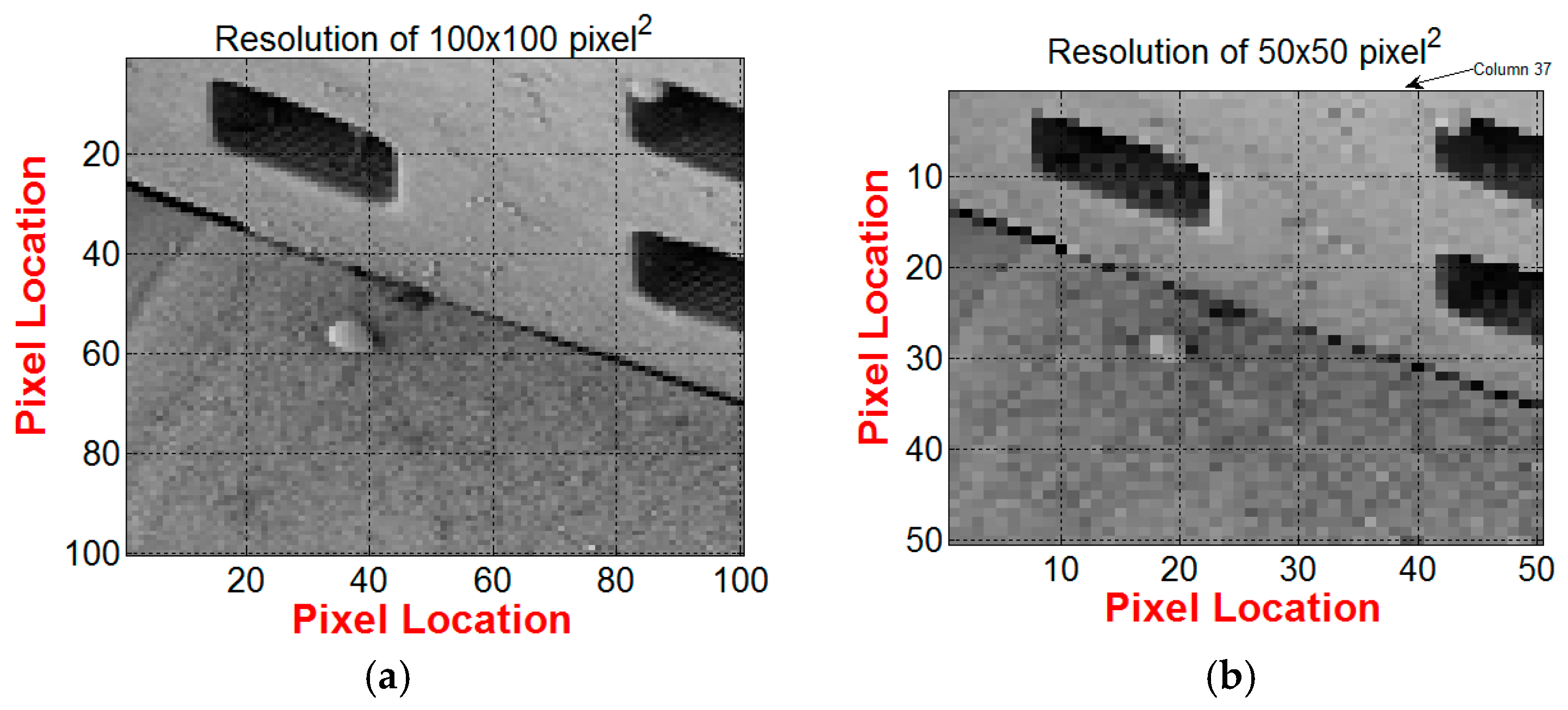 Jimaging 02 00027 g004