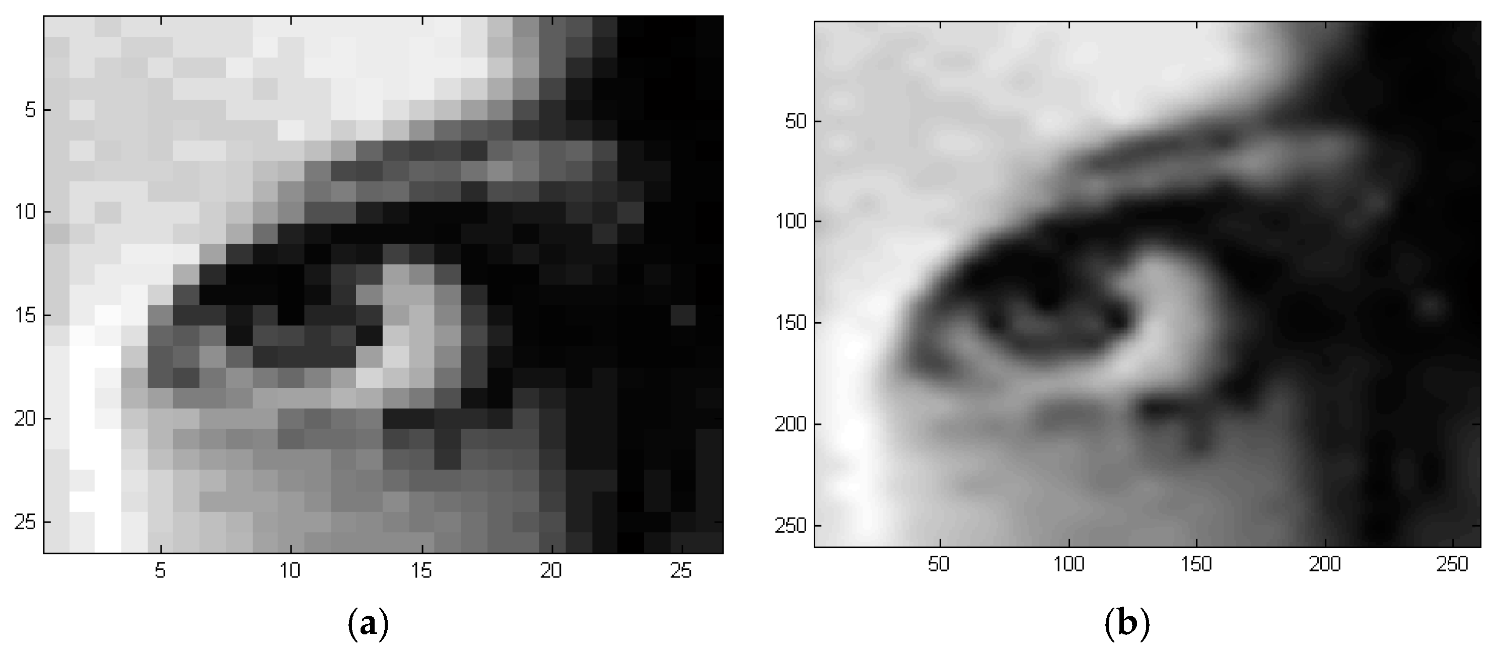 Jimaging 02 00027 g011