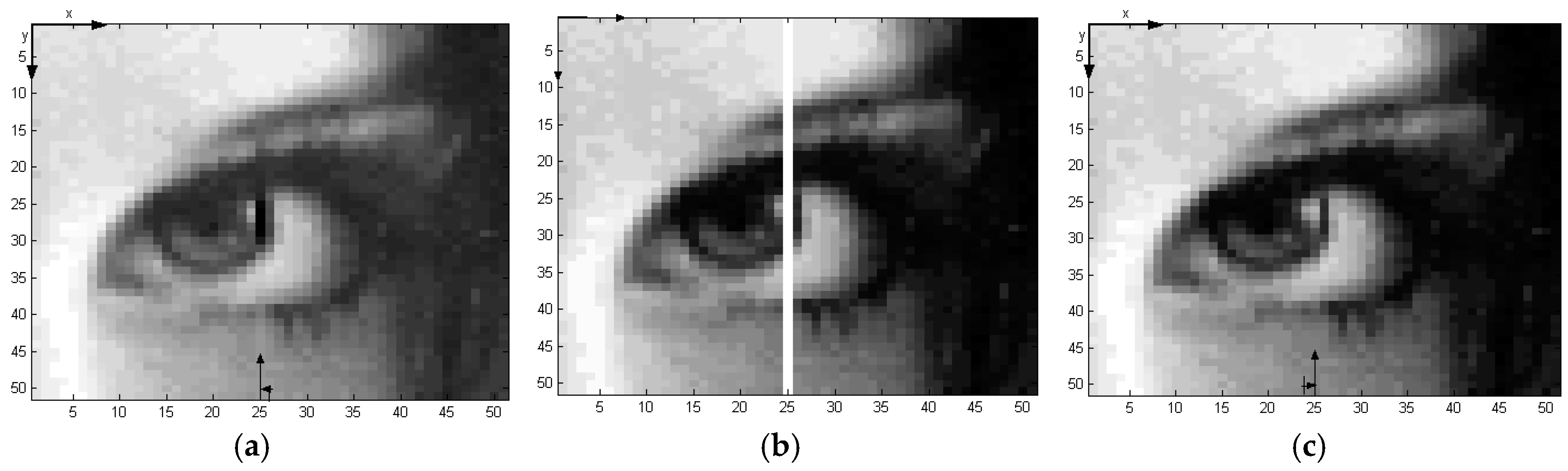 Jimaging 02 00027 g016