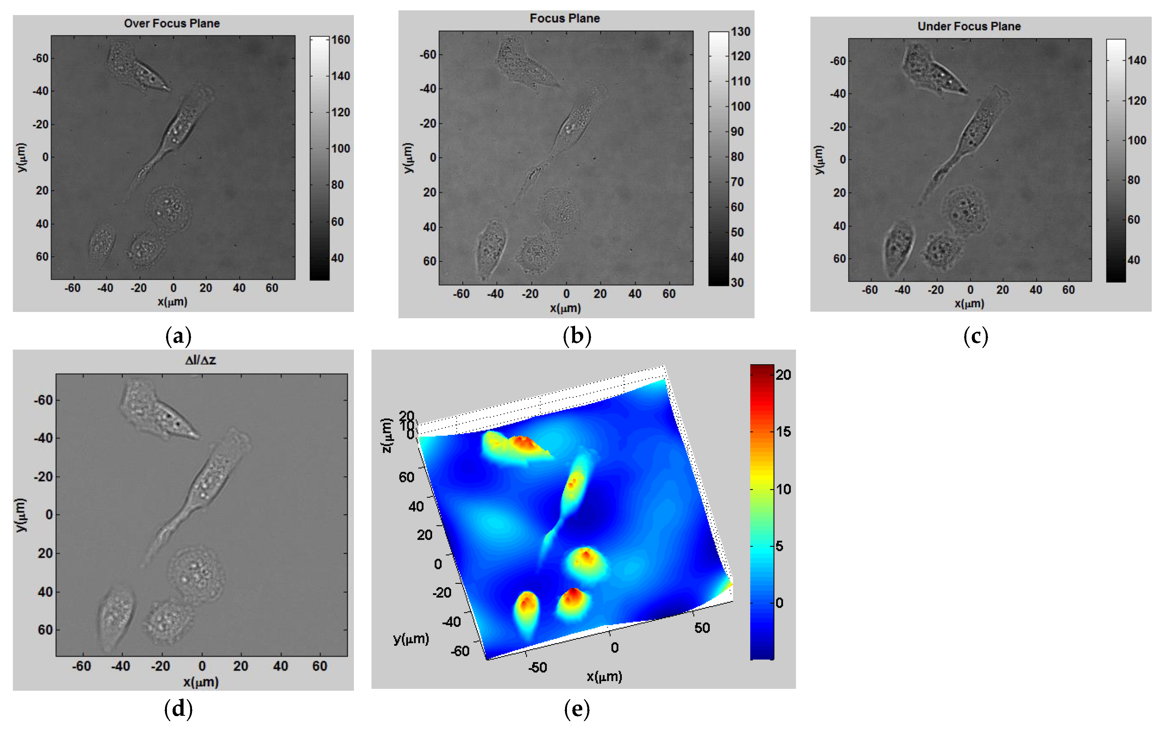 Jimaging 02 00030 g010