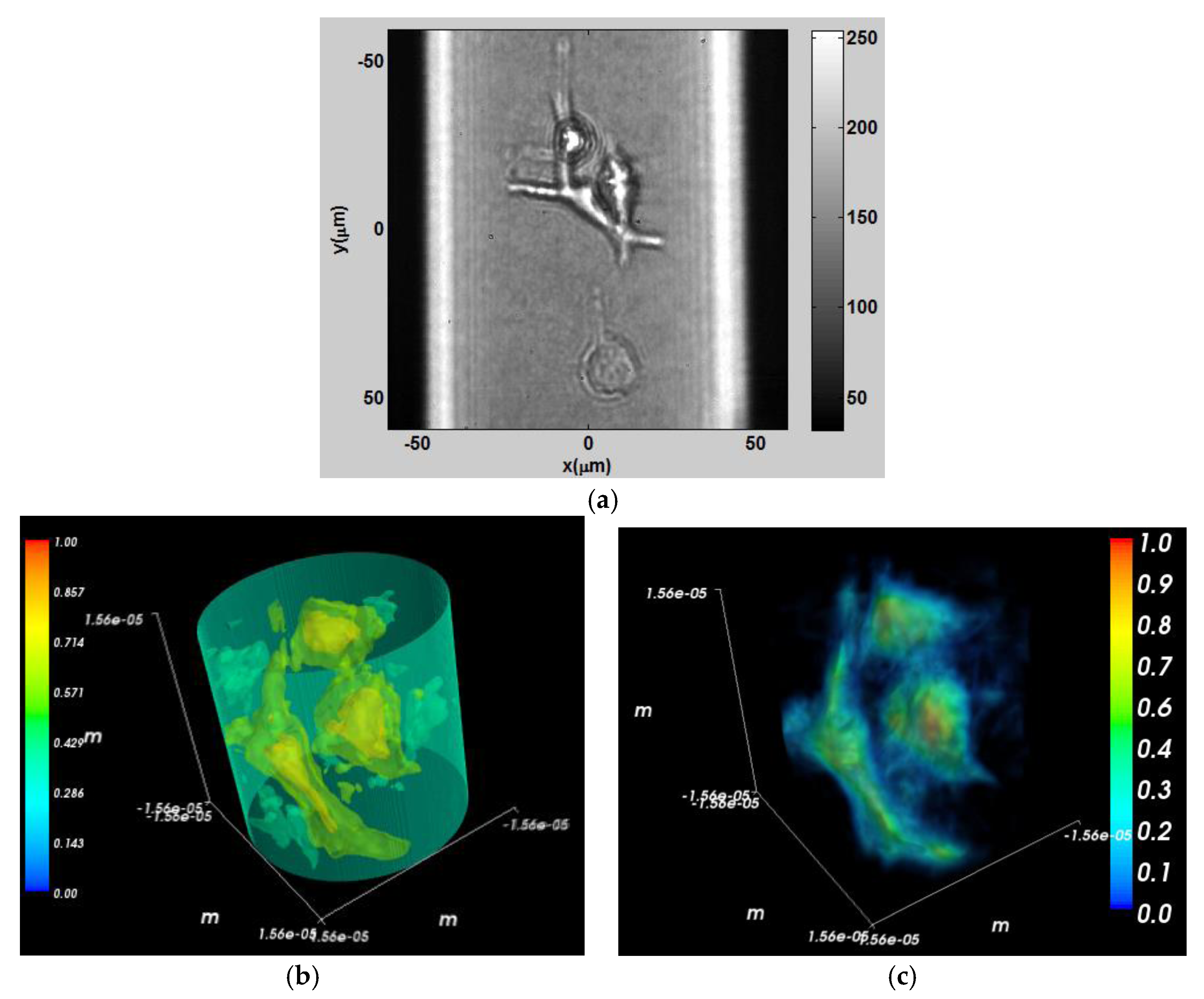 Jimaging 02 00030 g011