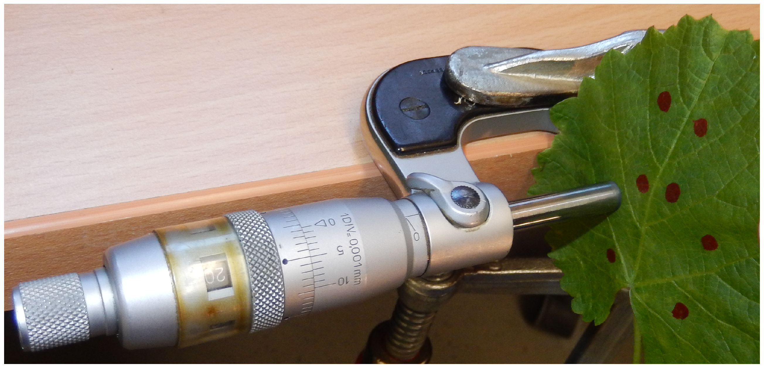 Jimaging 03 00022 g005