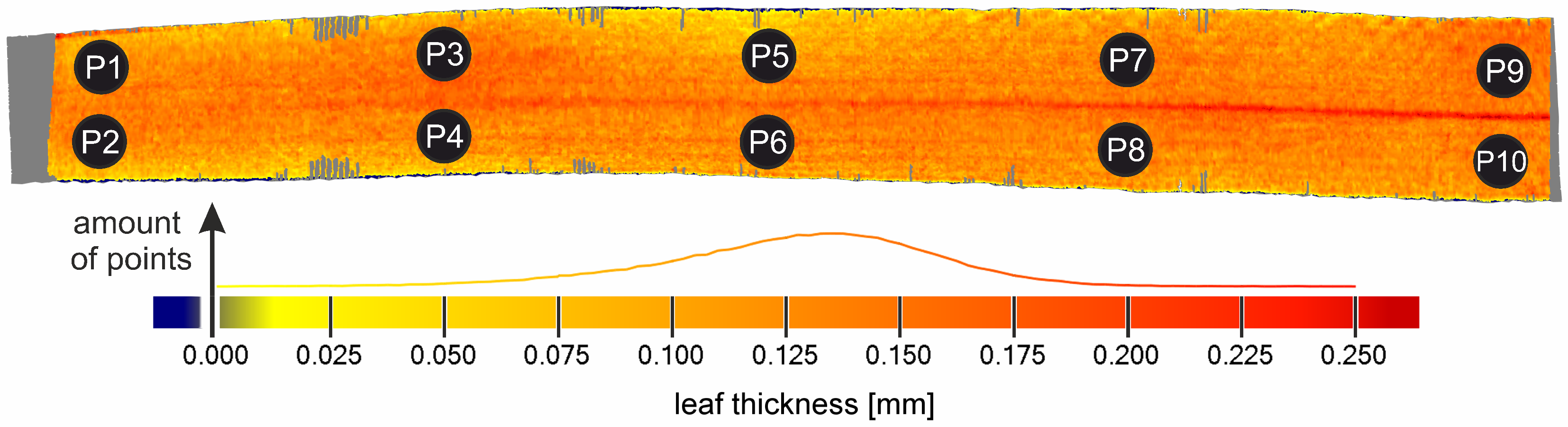 Jimaging 03 00022 g006