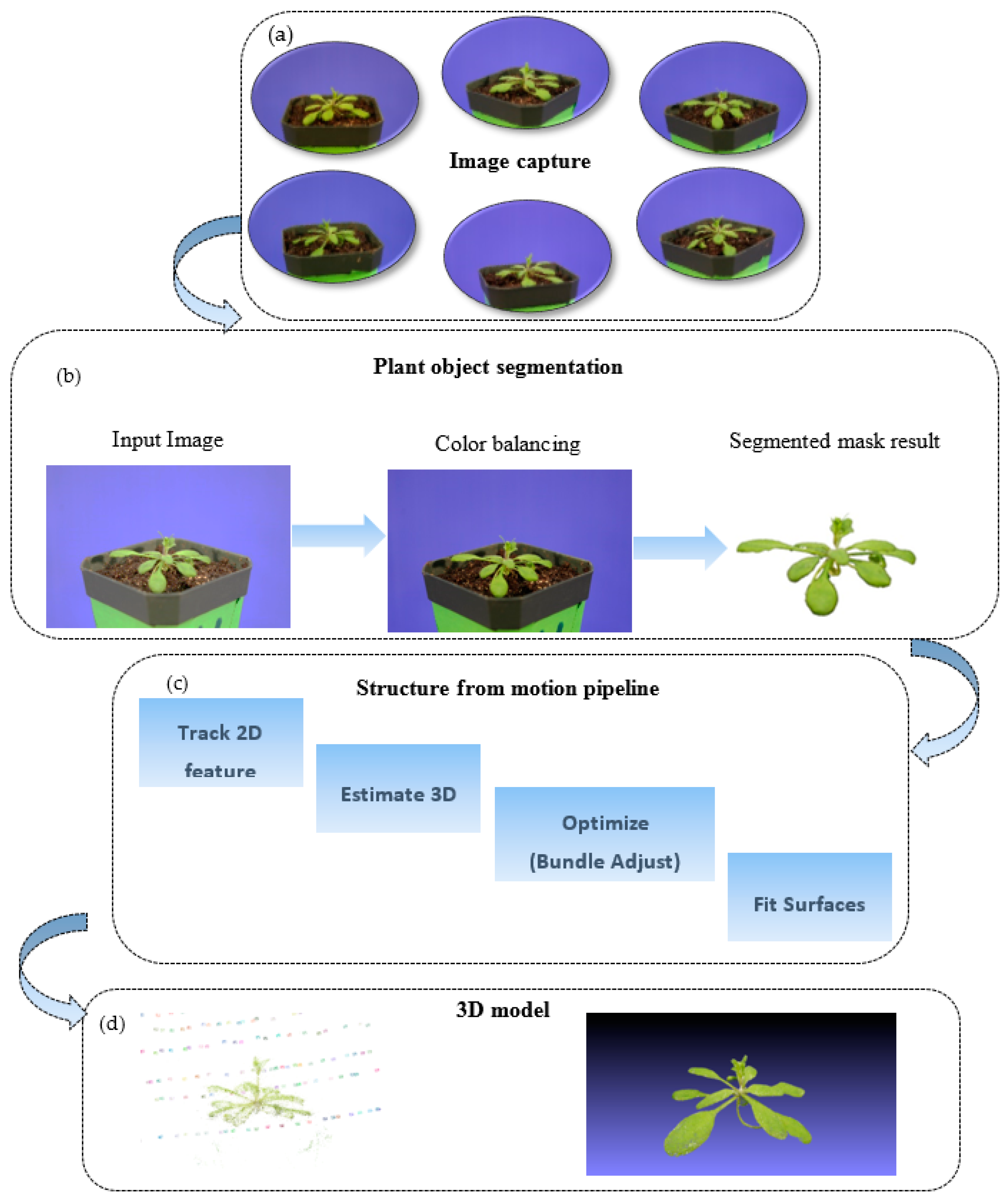 Jimaging 03 00039 g002