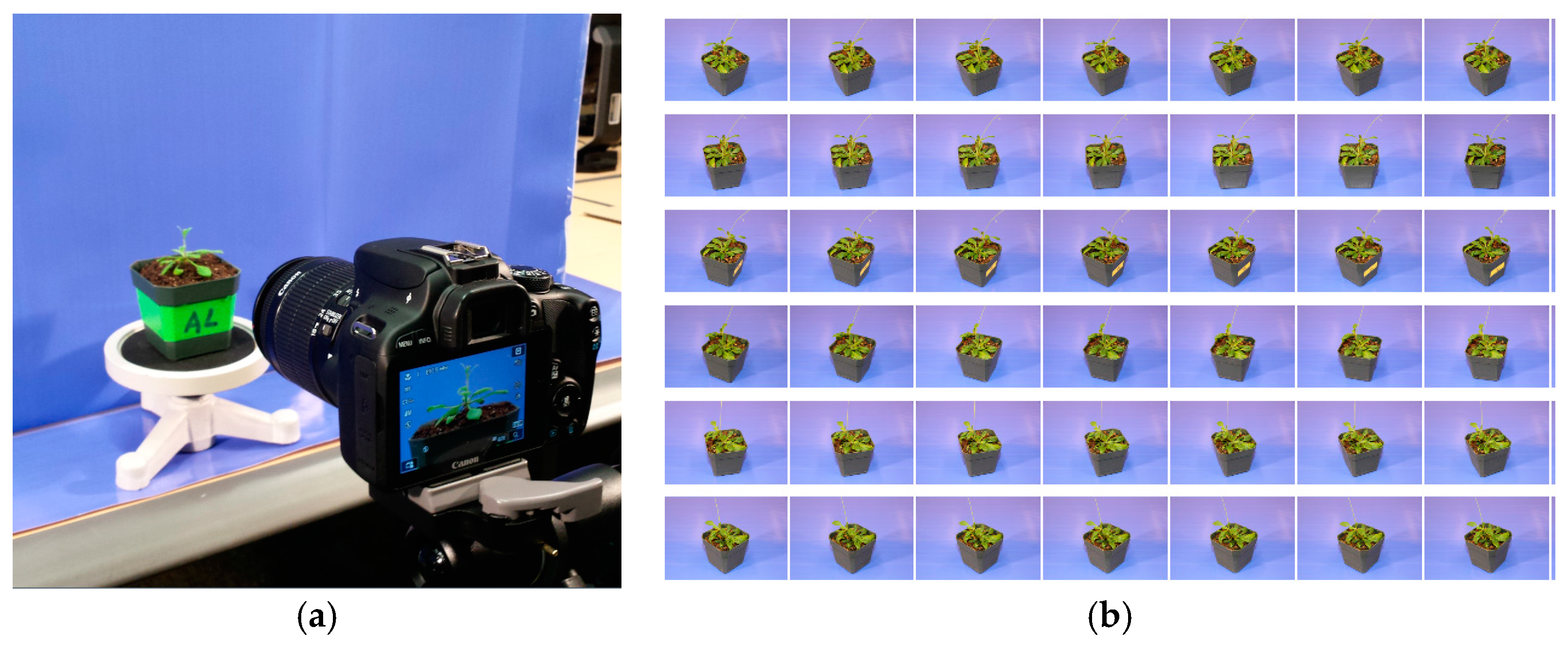 Jimaging 03 00039 g005