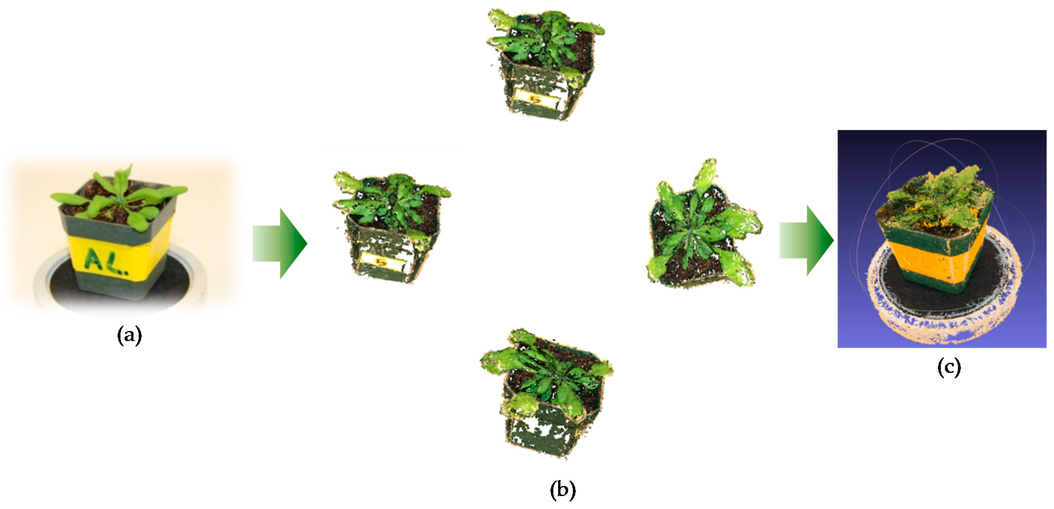 Jimaging 03 00039 g006