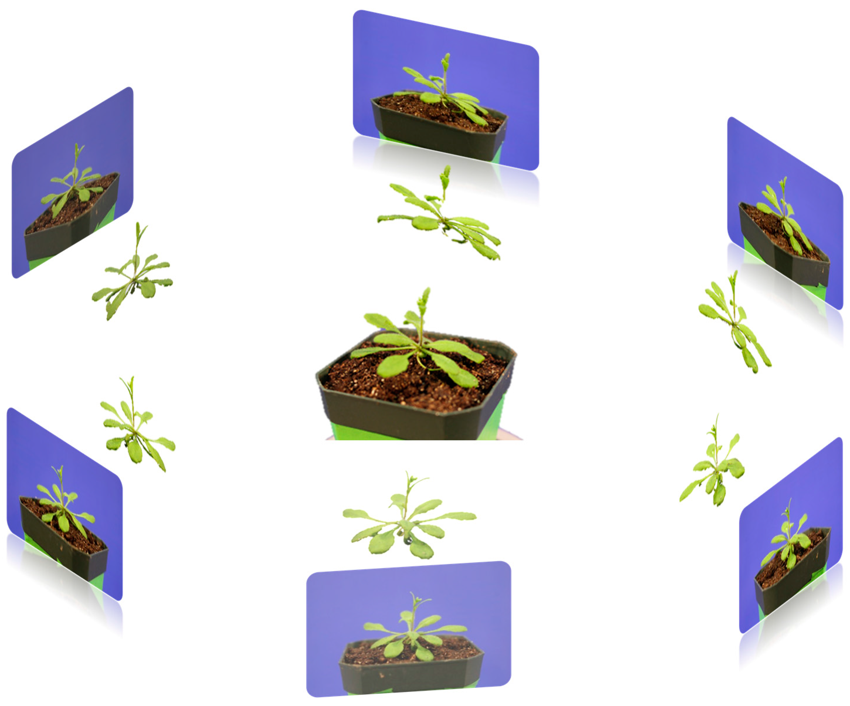 Jimaging 03 00039 g007