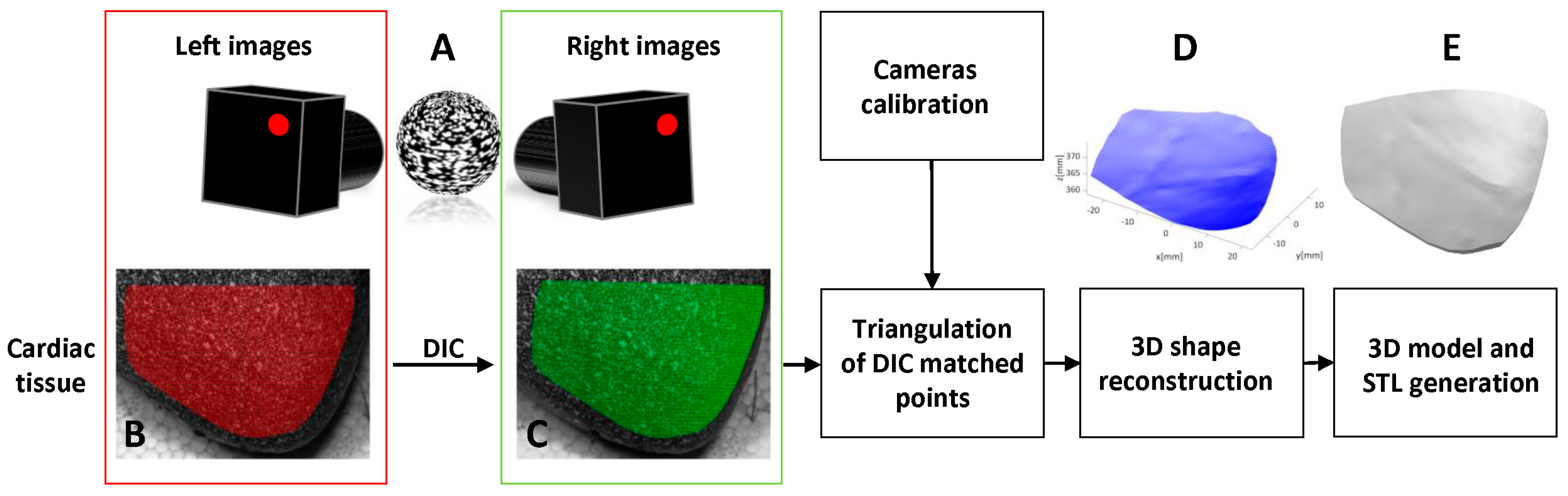 Jimaging 03 00045 g002