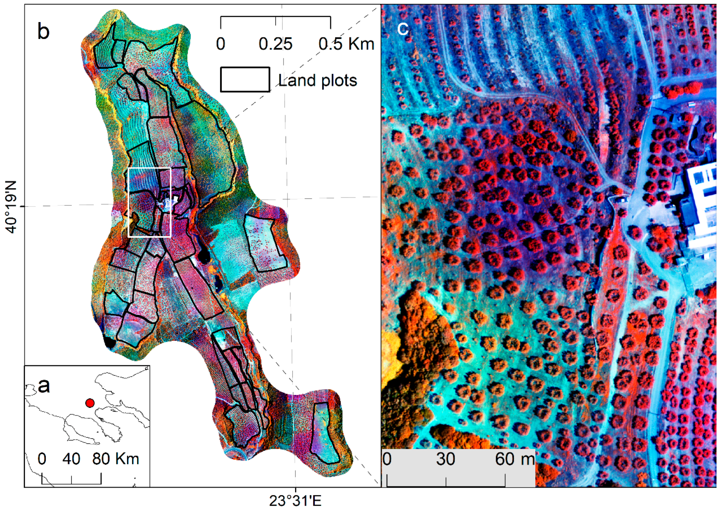 Jimaging 03 00057 g001