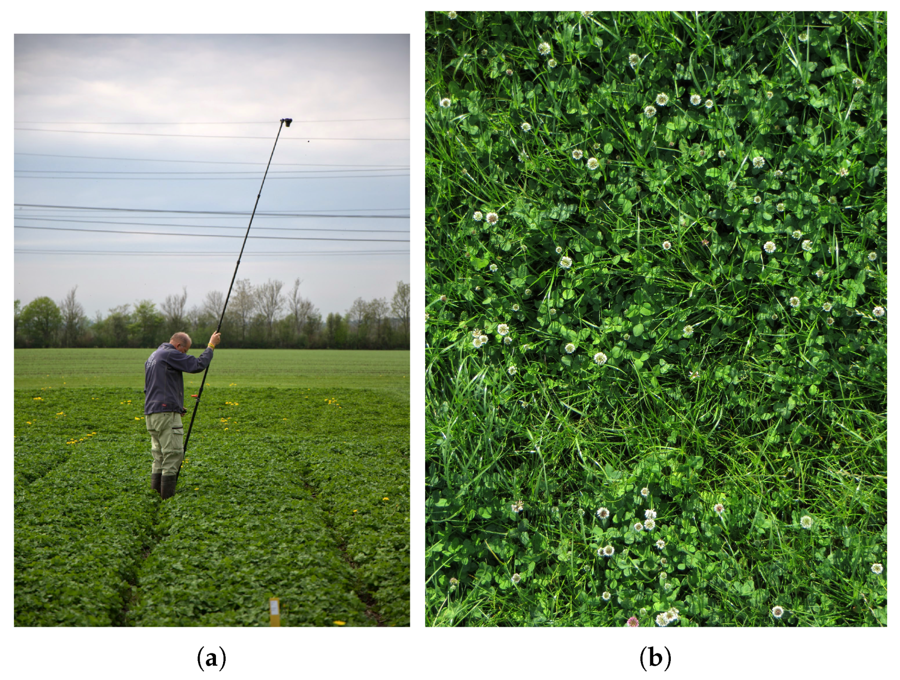 Jimaging 03 00059 g001