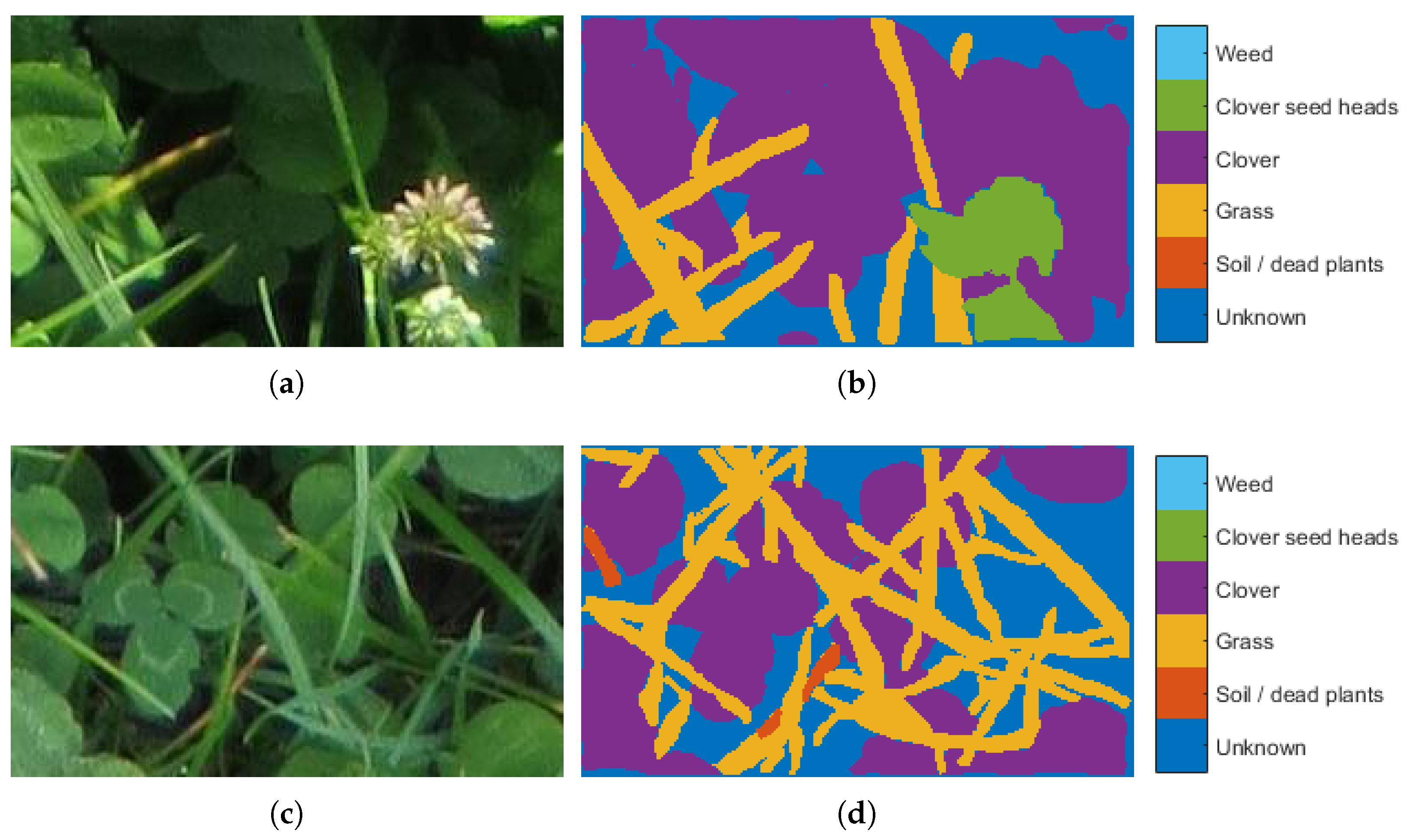 Jimaging 03 00059 g002