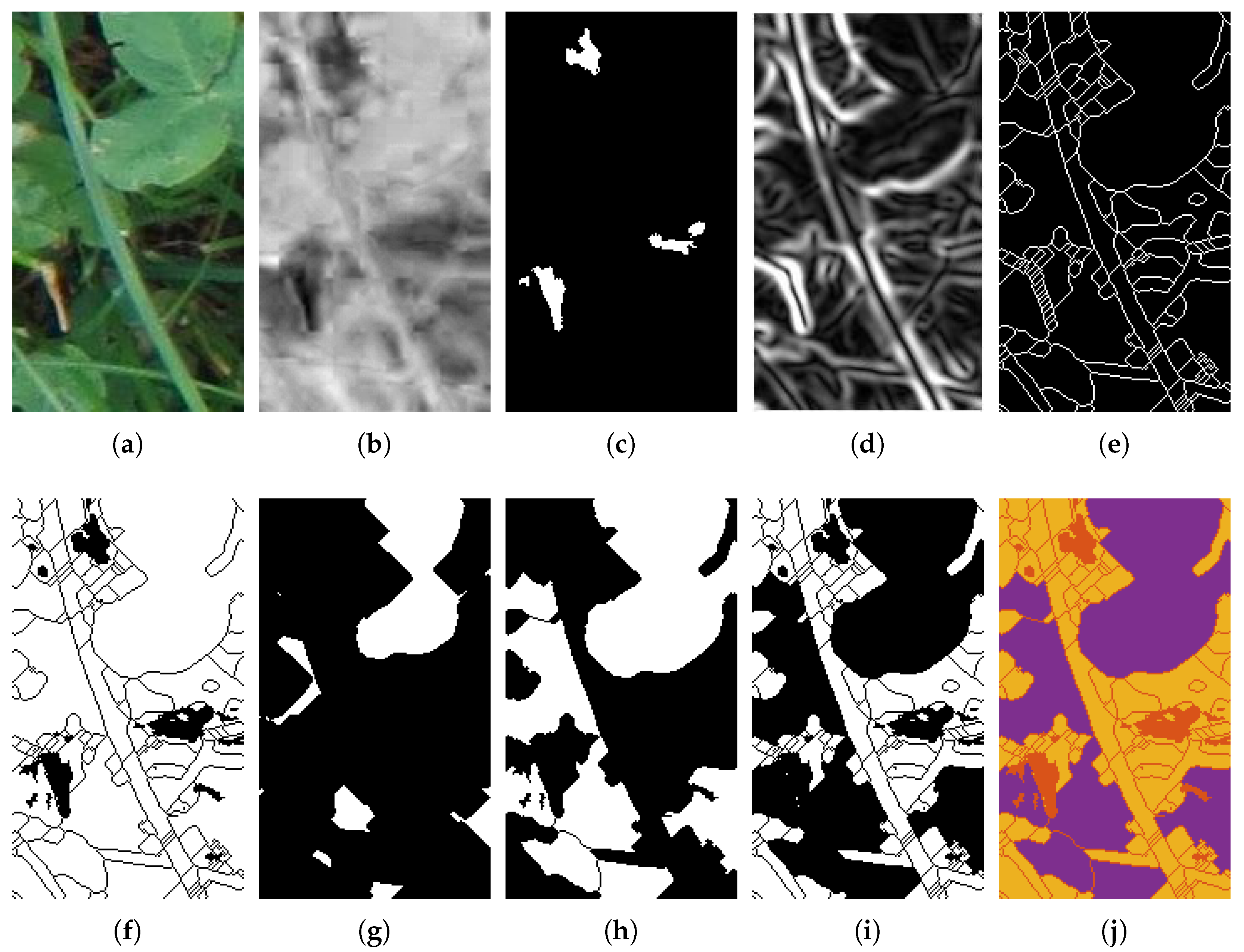 Jimaging 03 00059 g005