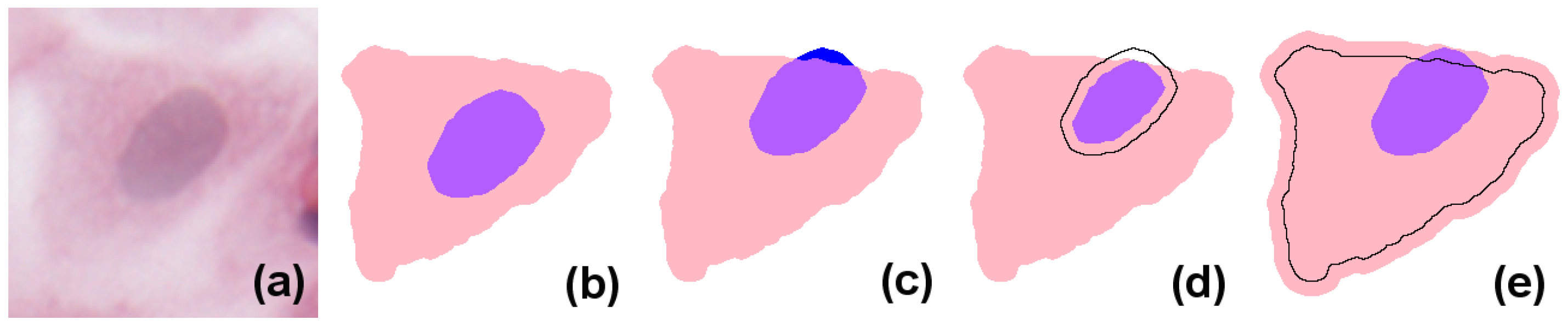 Jimaging 03 00063 g001