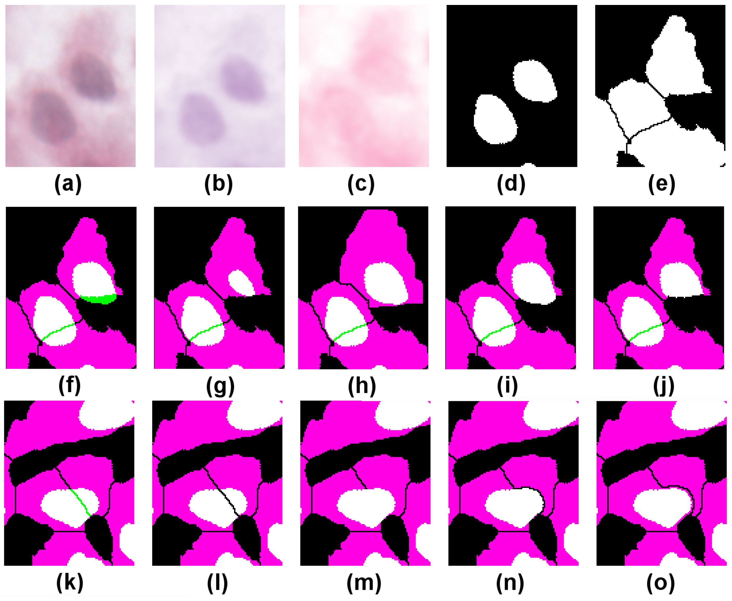 Jimaging 03 00063 g004