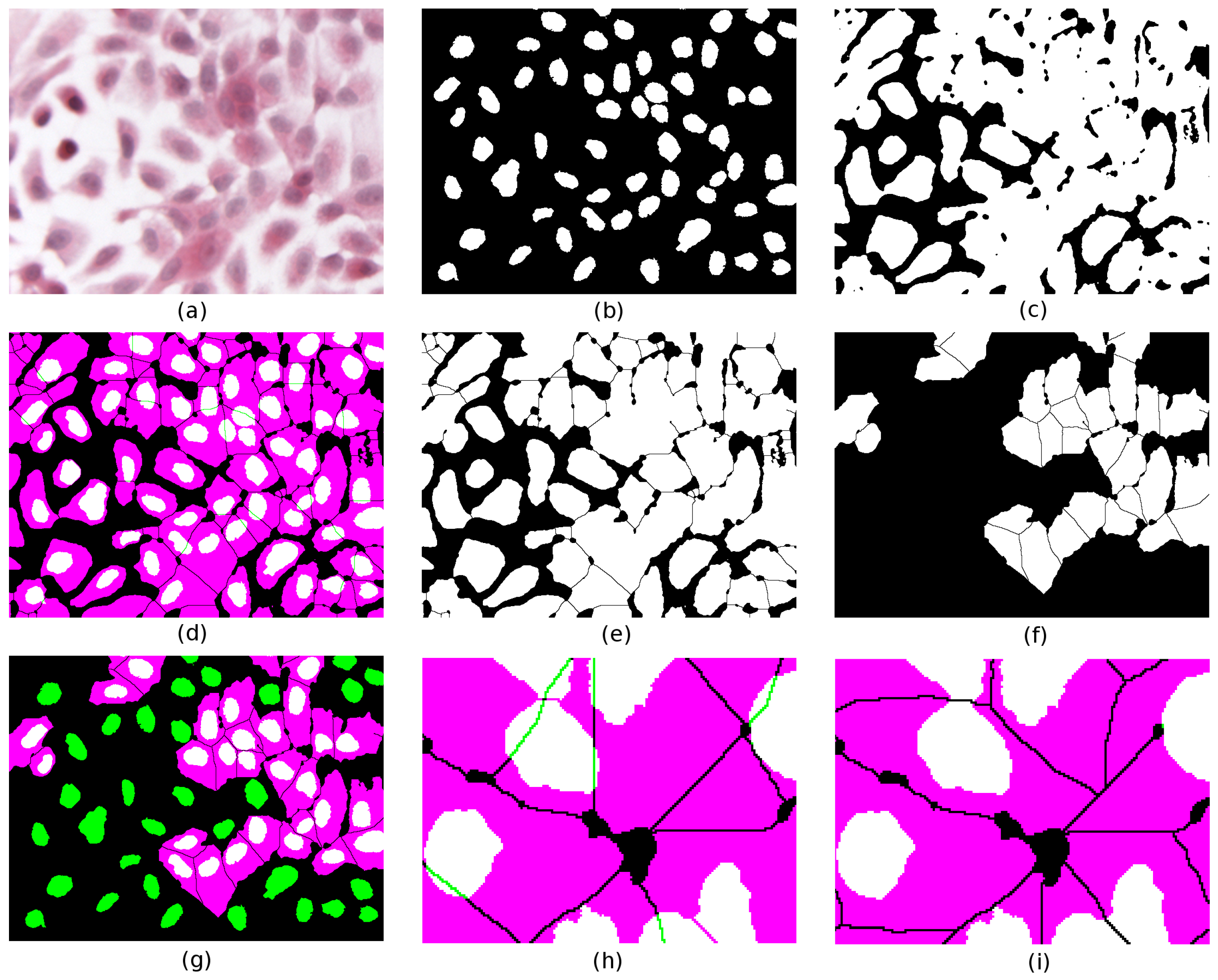 Jimaging 03 00063 g005