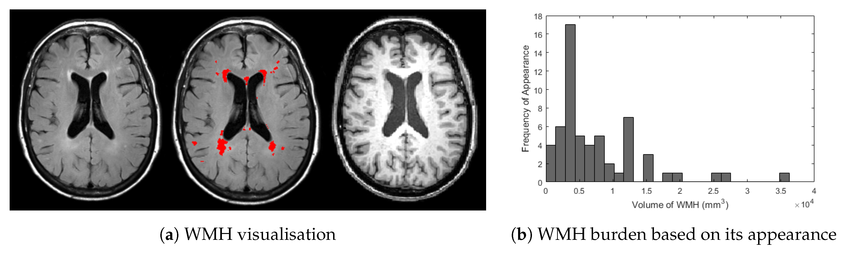 Jimaging 03 00066 g001