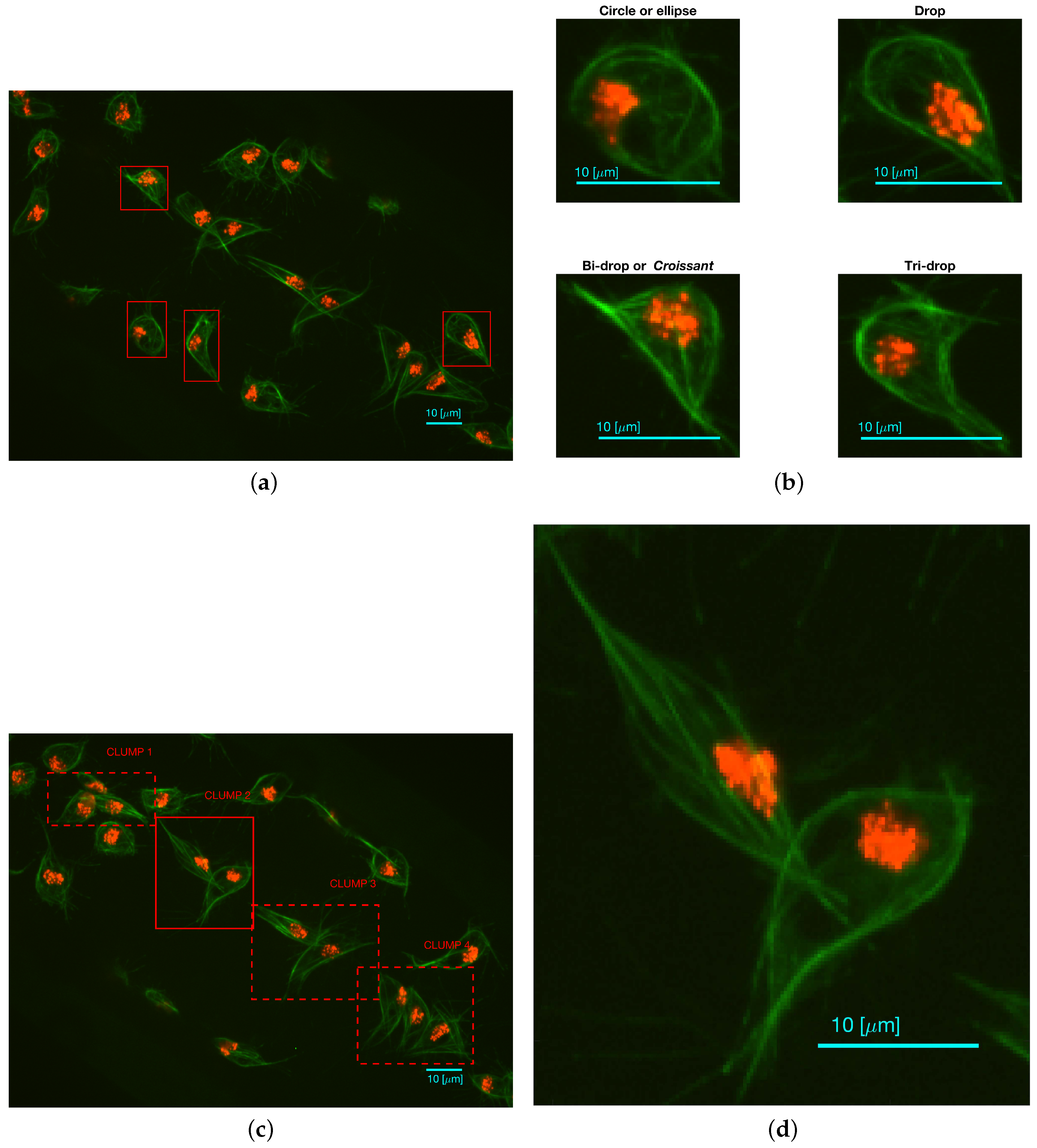 Jimaging 04 00002 g001 Jimaging 04 00002 g001