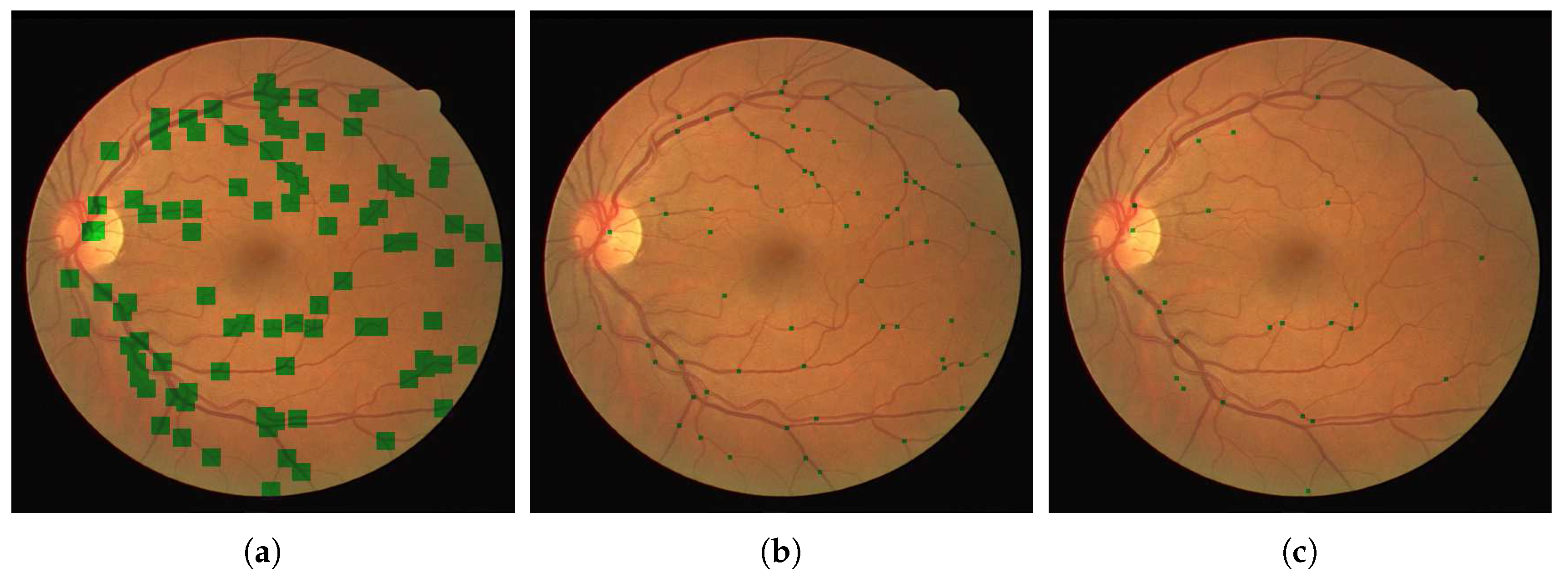 Jimaging 04 00004 g003