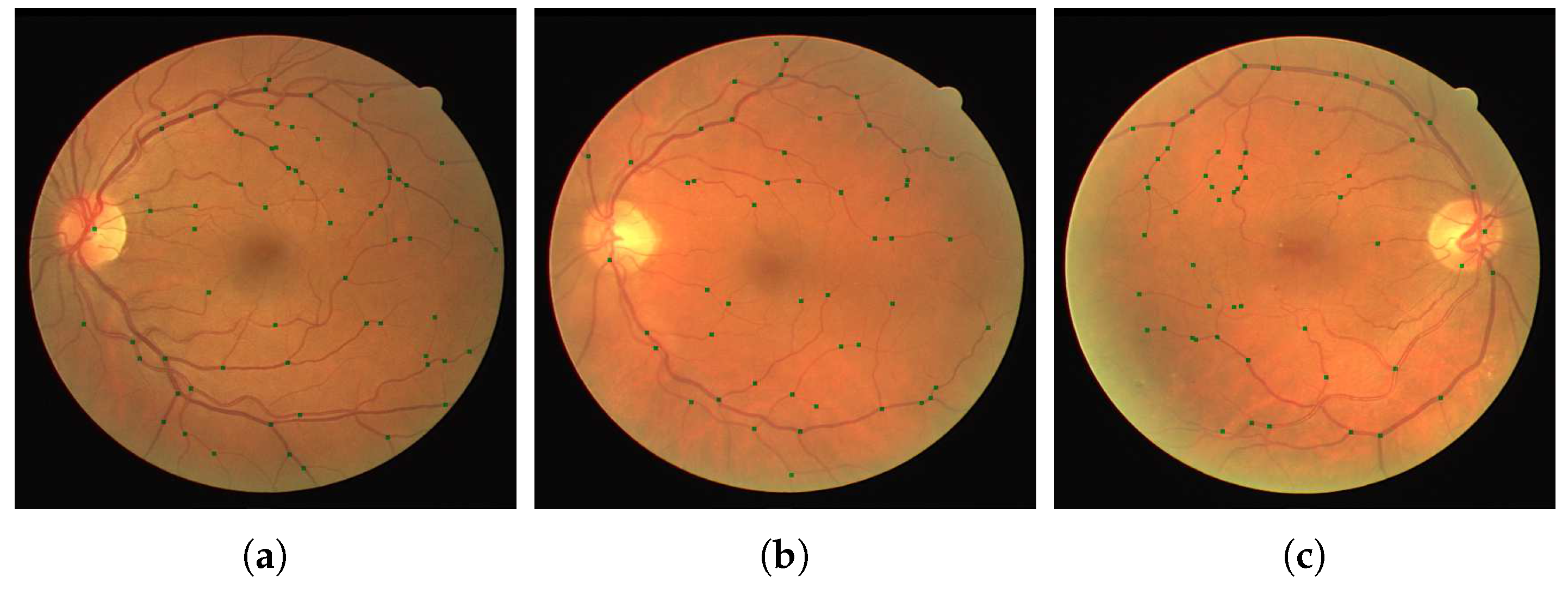 Jimaging 04 00004 g008a