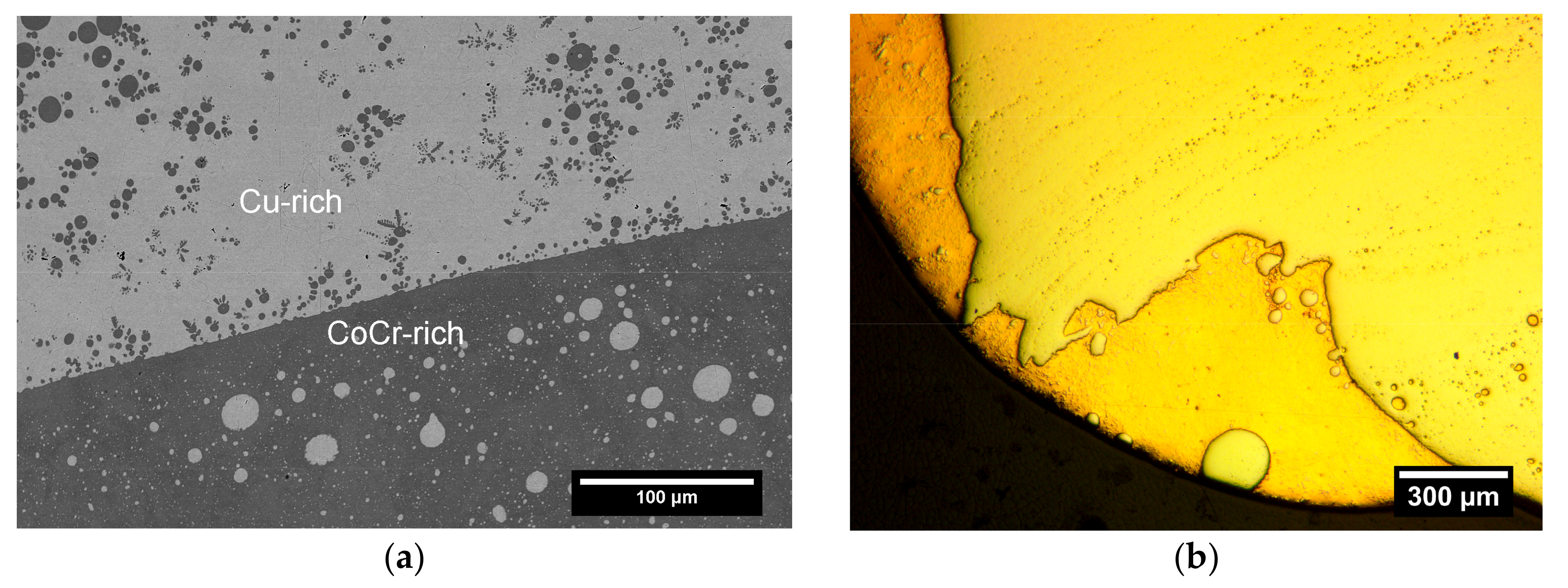 Jimaging 04 00005 g004