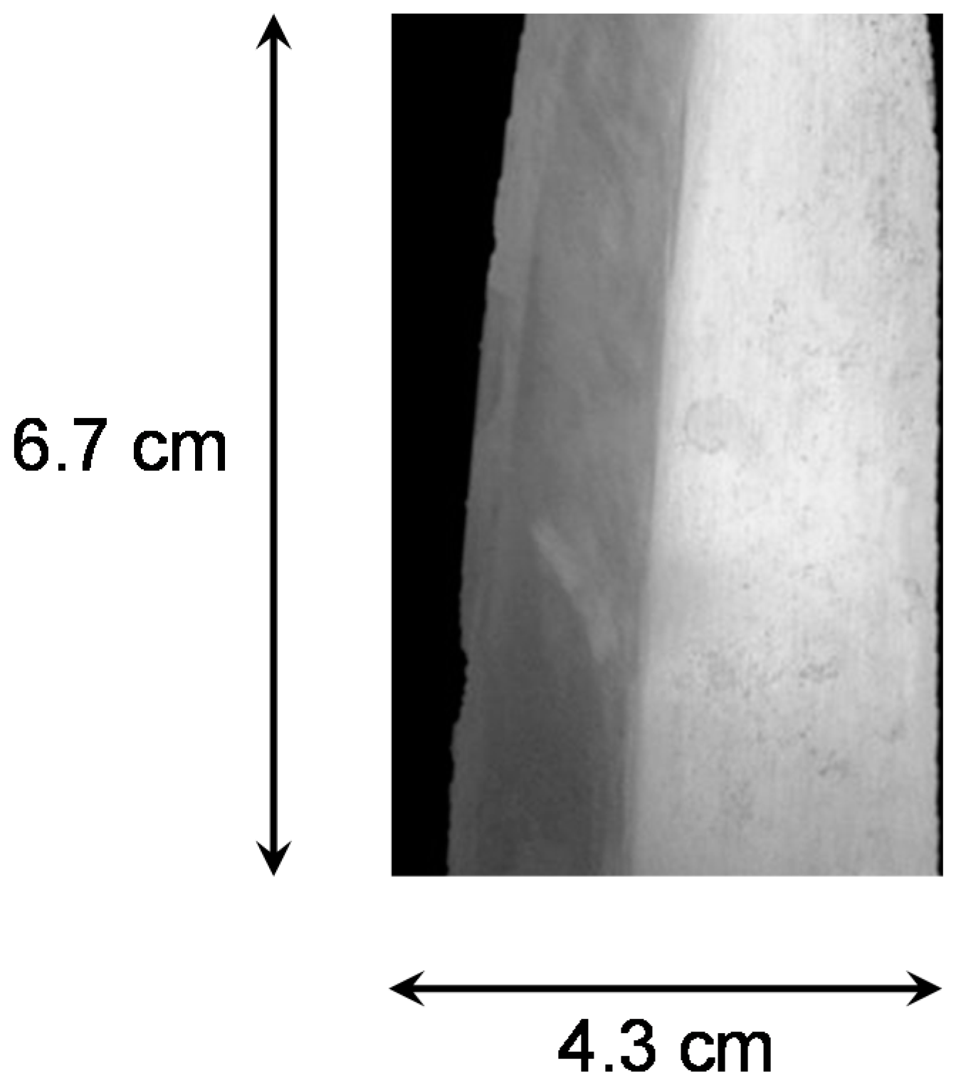 Jimaging 04 00007 g008