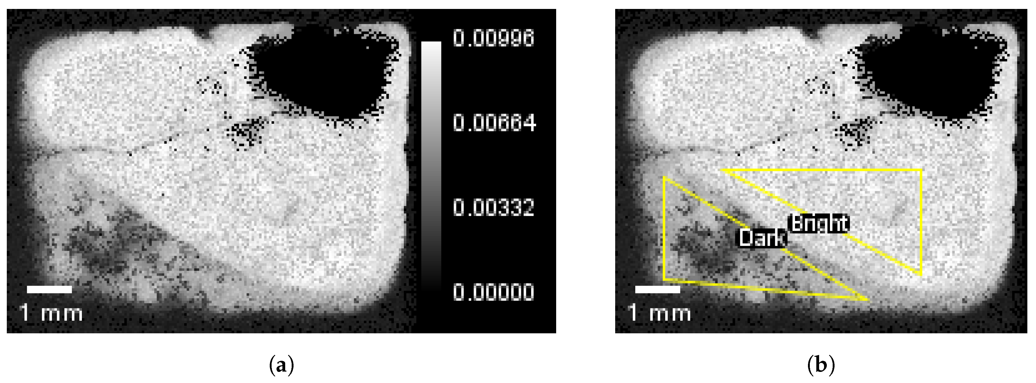 Jimaging 04 00010 g008