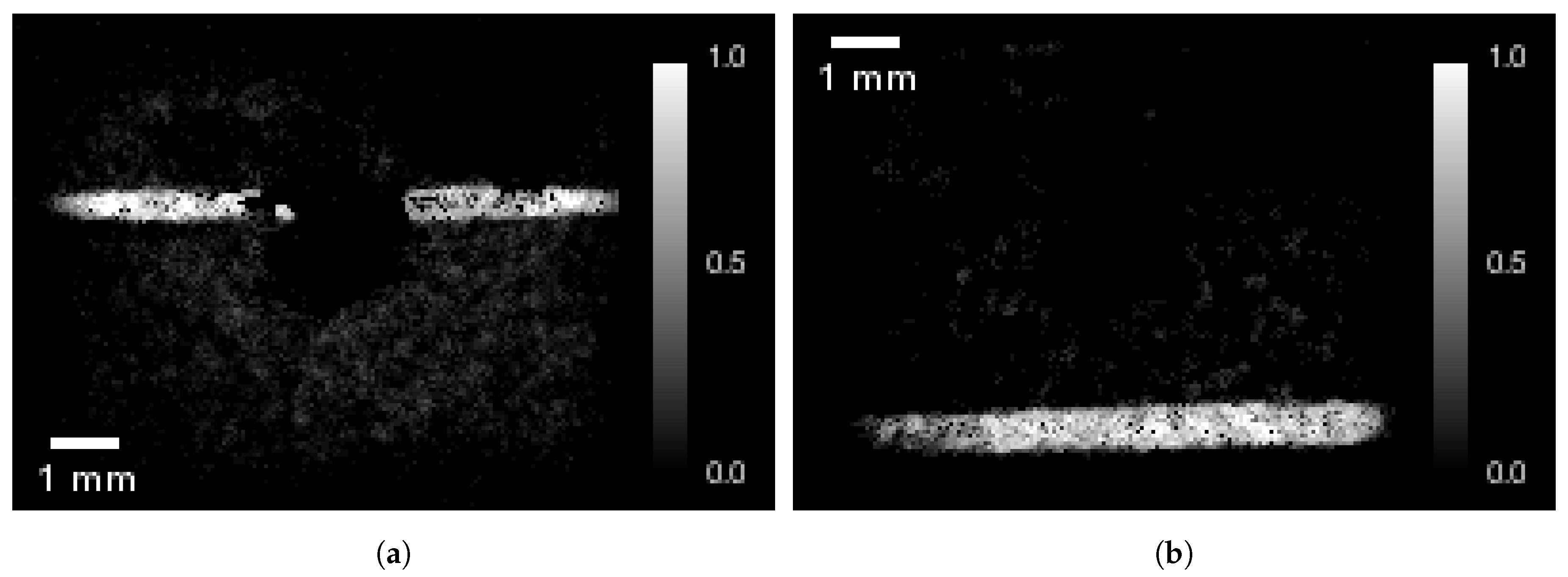 Jimaging 04 00010 g009