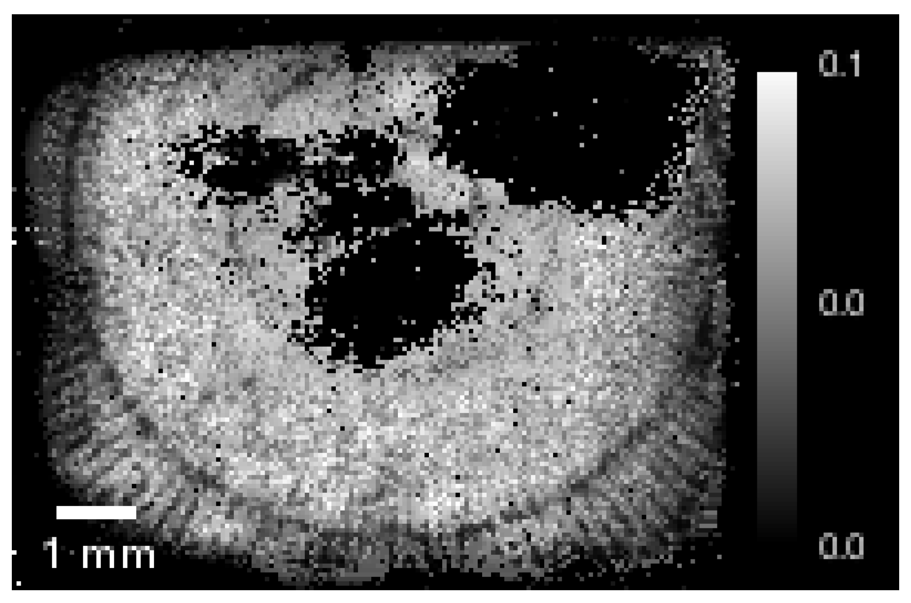 Jimaging 04 00010 g011