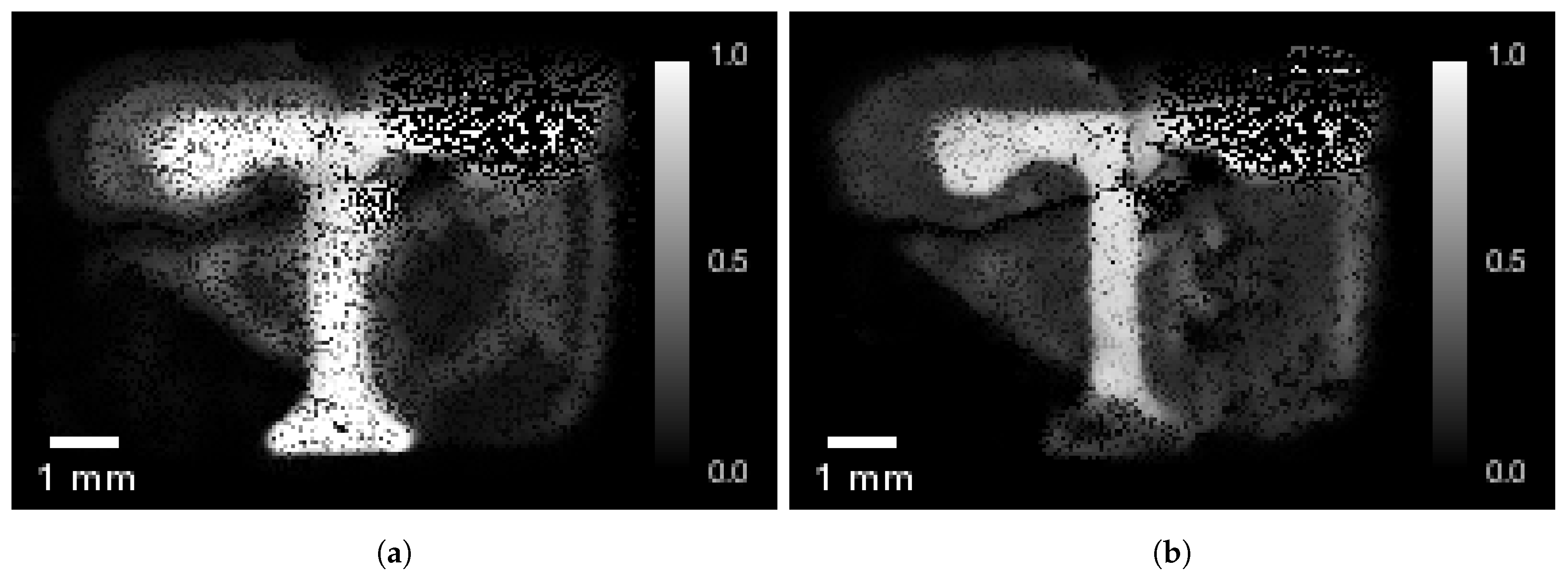 Jimaging 04 00010 g012