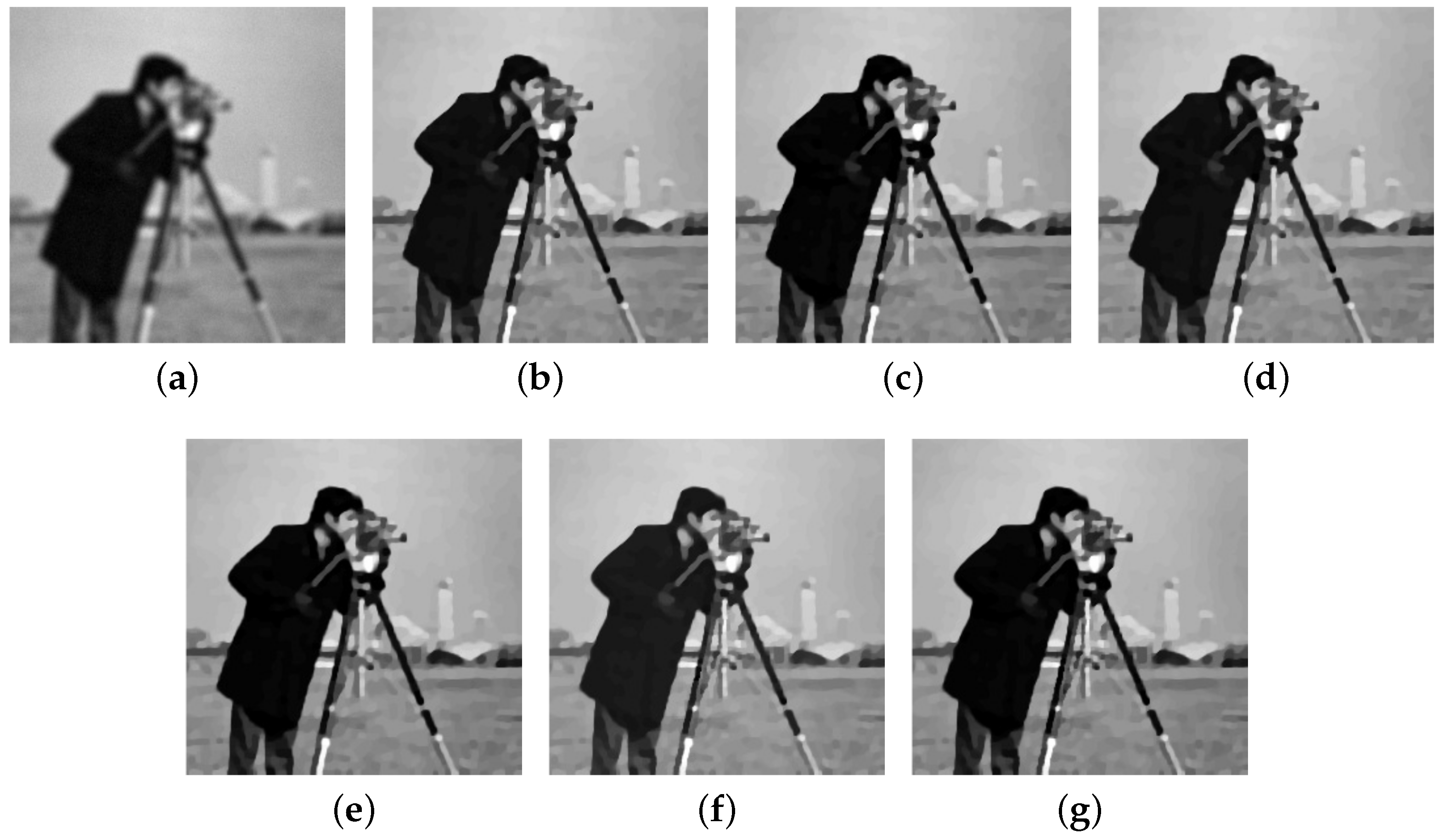 Jimaging 04 00012 g008