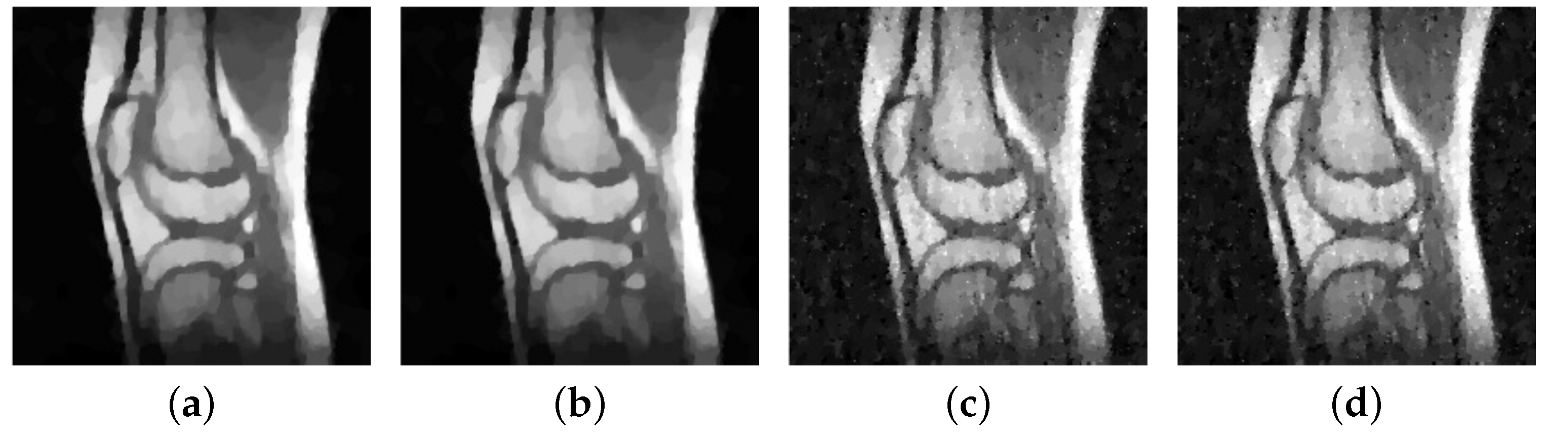 Jimaging 04 00012 g013