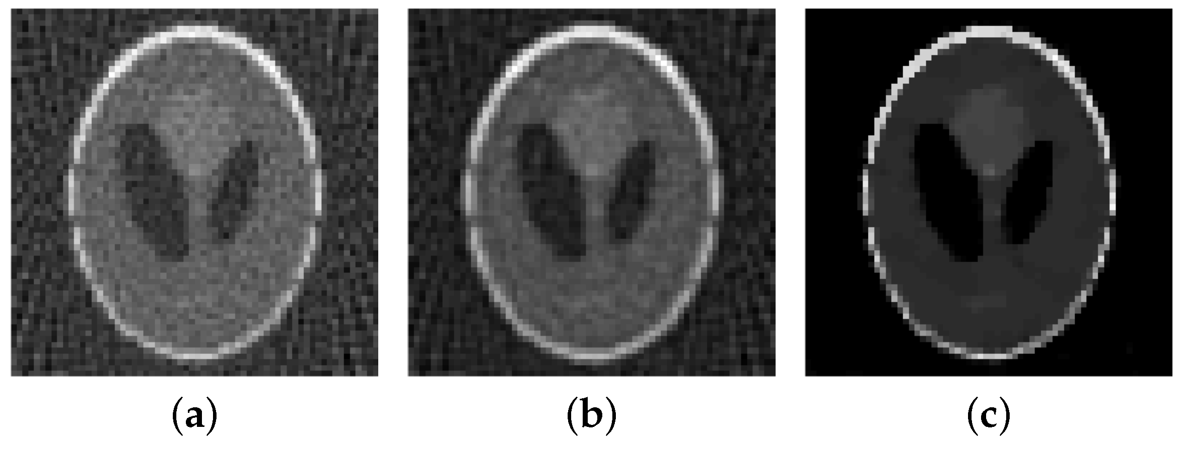 Jimaging 04 00012 g016a