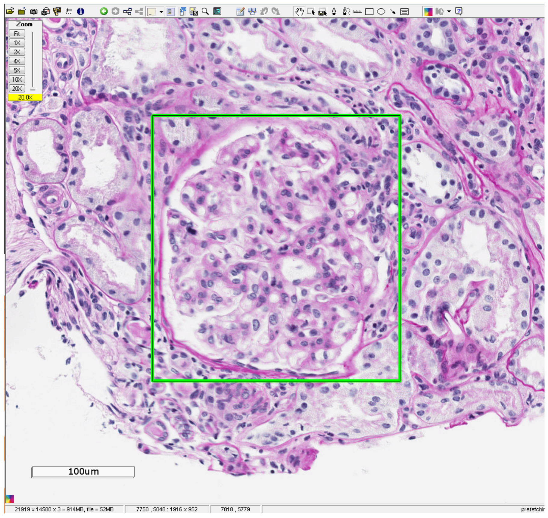 Jimaging 04 00020 g001