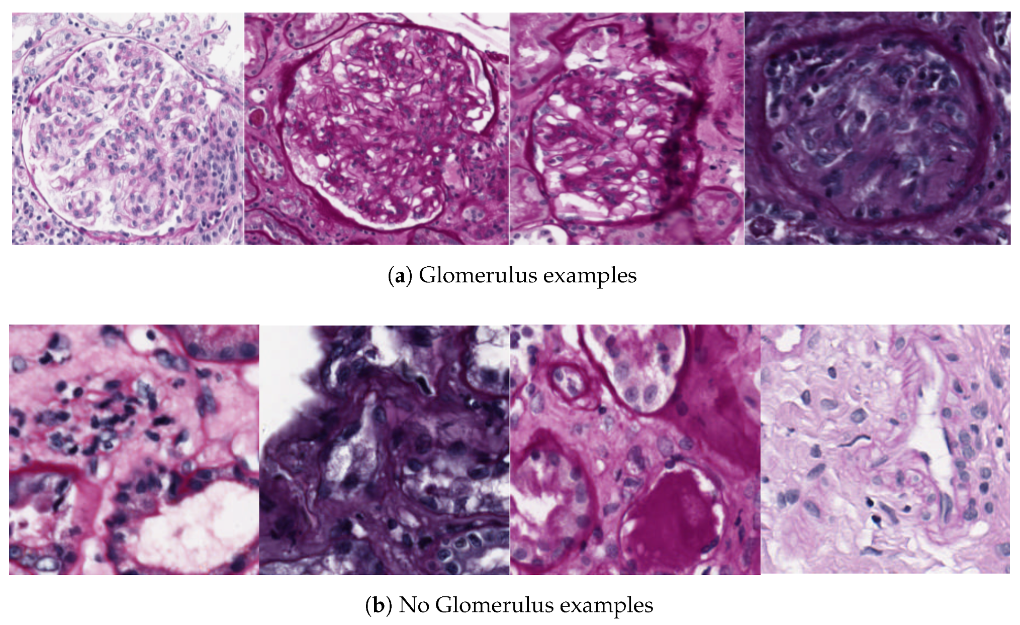 Jimaging 04 00020 g002