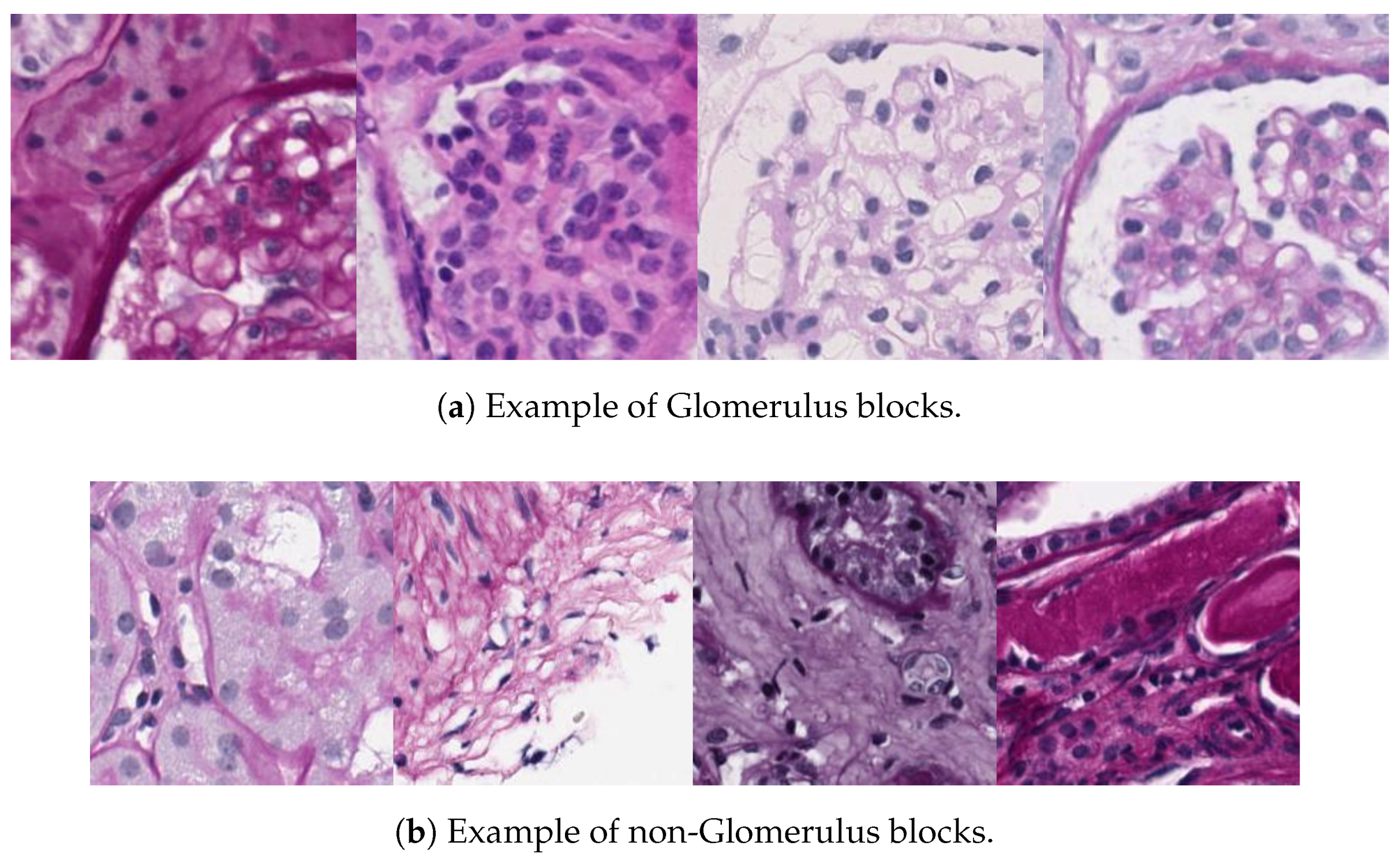 Jimaging 04 00020 g004