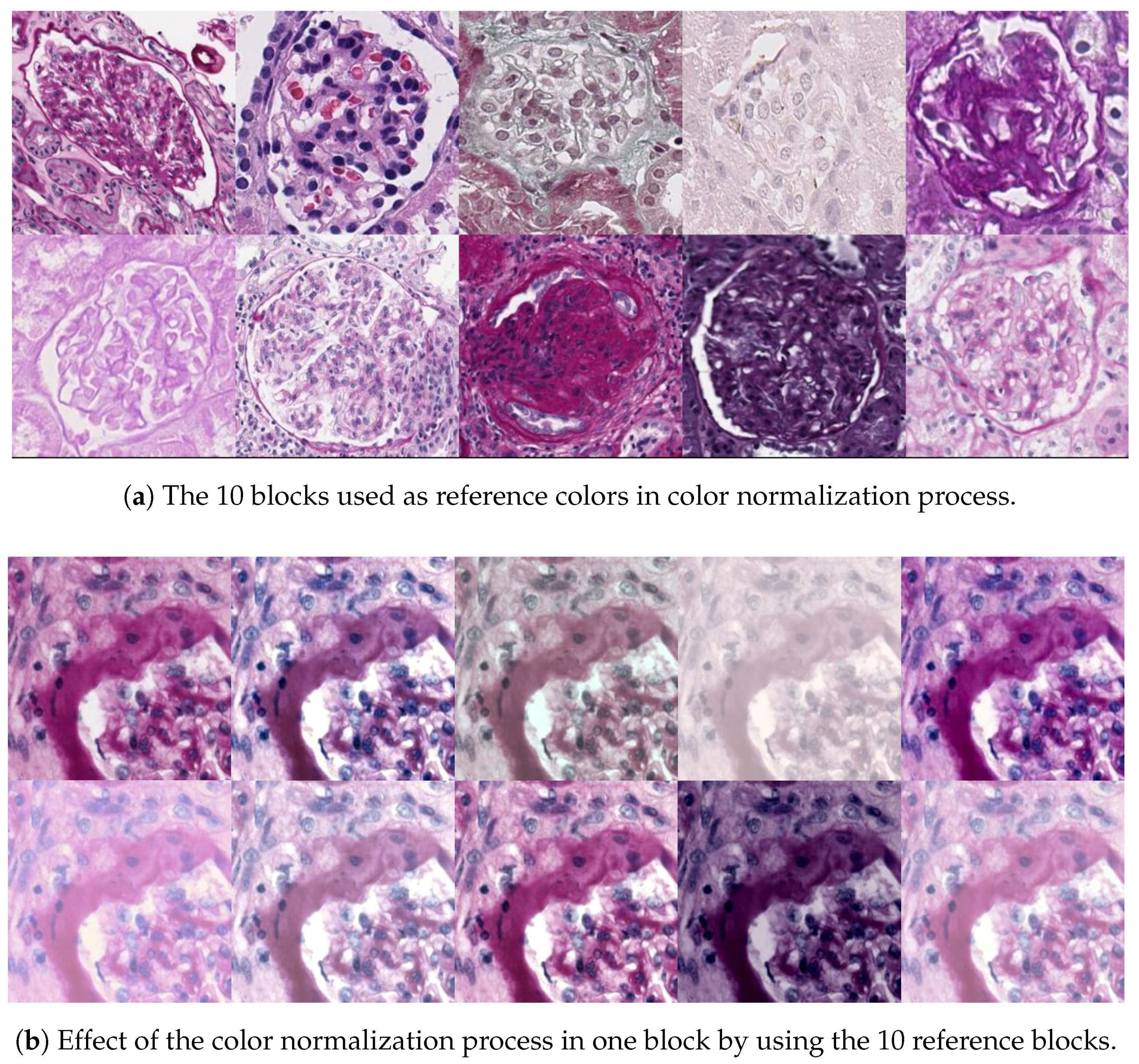 Jimaging 04 00020 g005