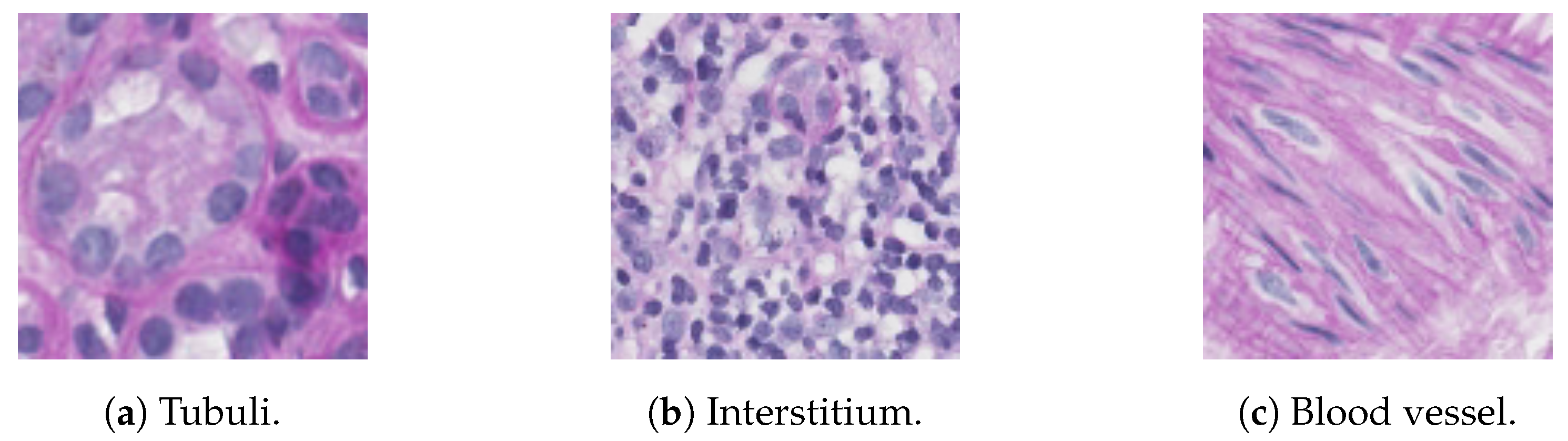 Jimaging 04 00020 g006