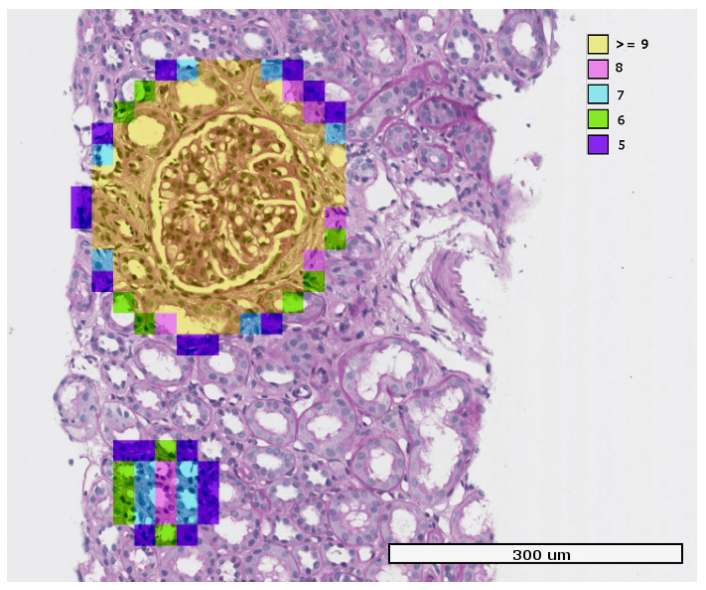 Jimaging 04 00020 g007