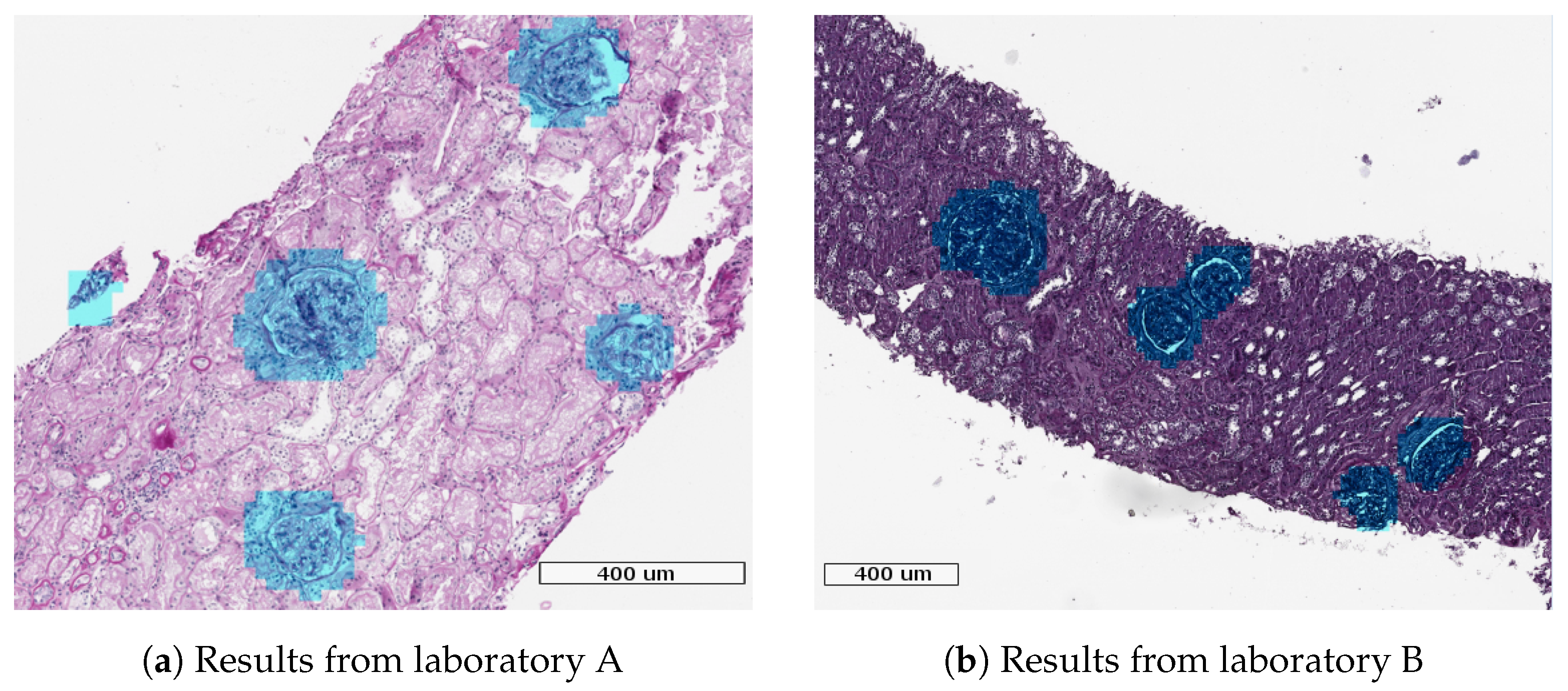 Jimaging 04 00020 g009