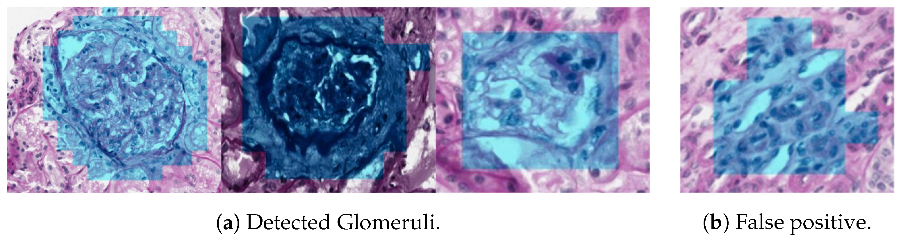 Jimaging 04 00020 g010