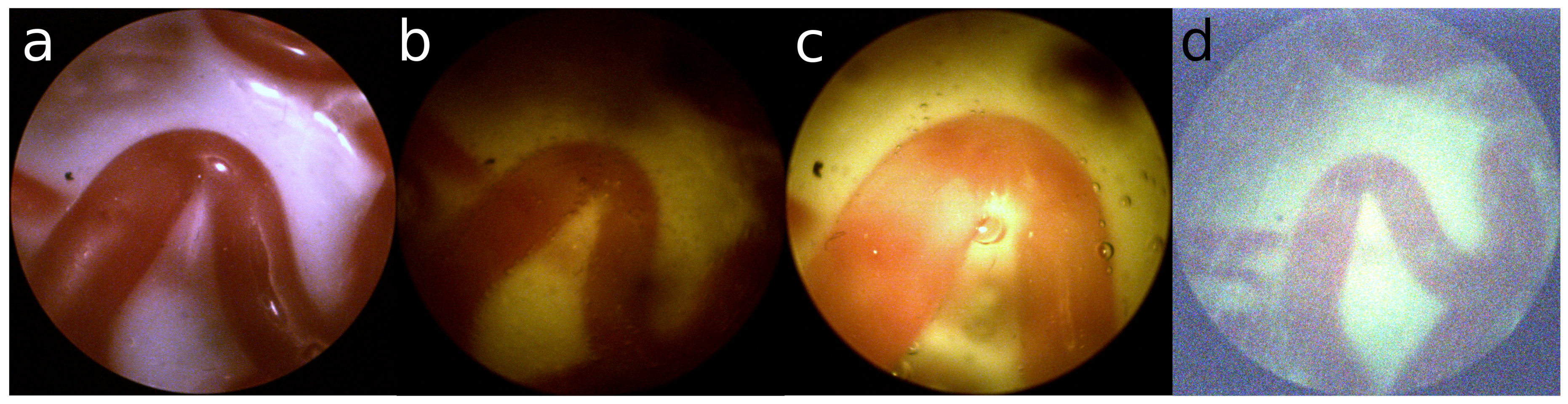 Jimaging 04 00024 g001