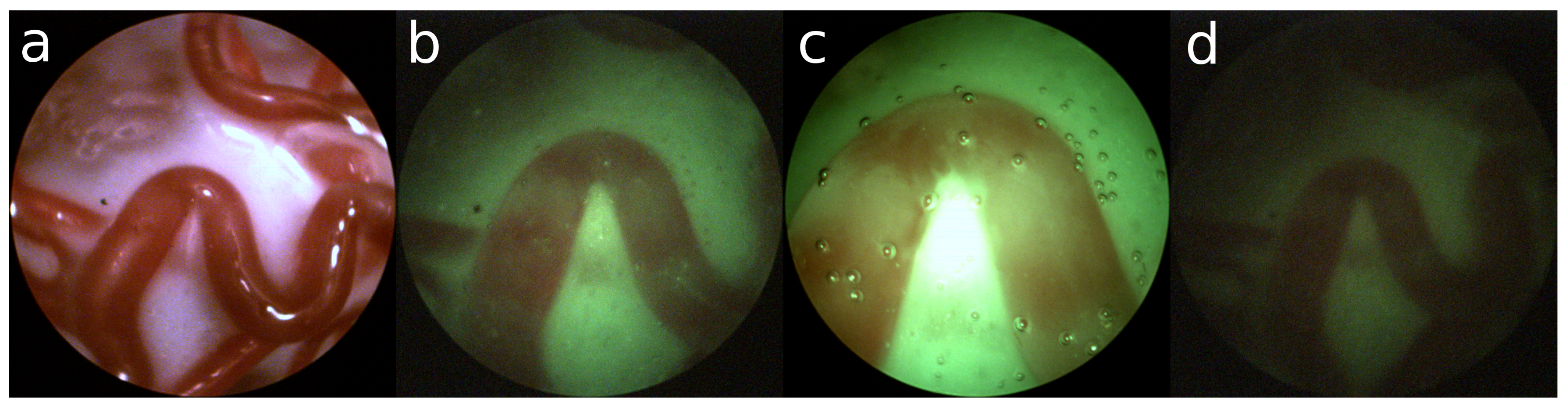 Jimaging 04 00024 g002