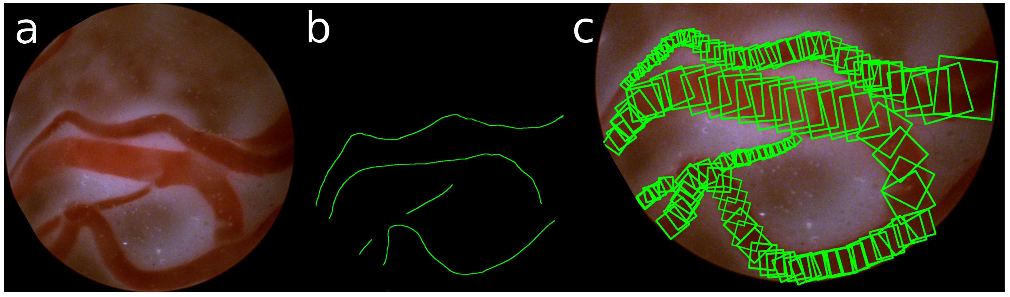 Jimaging 04 00024 g005