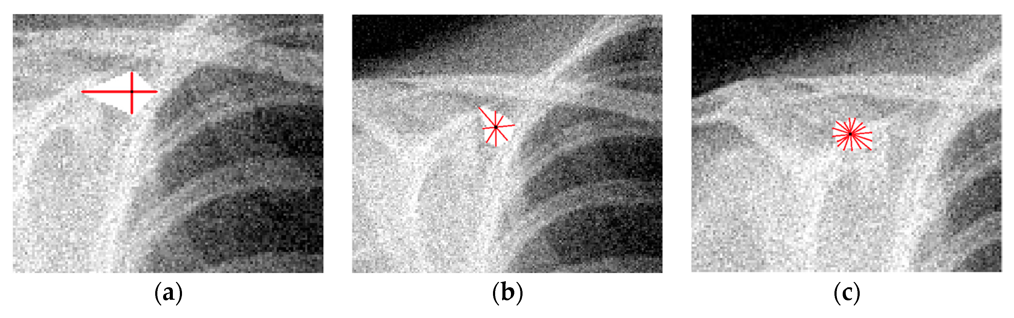 Jimaging 04 00034 g002