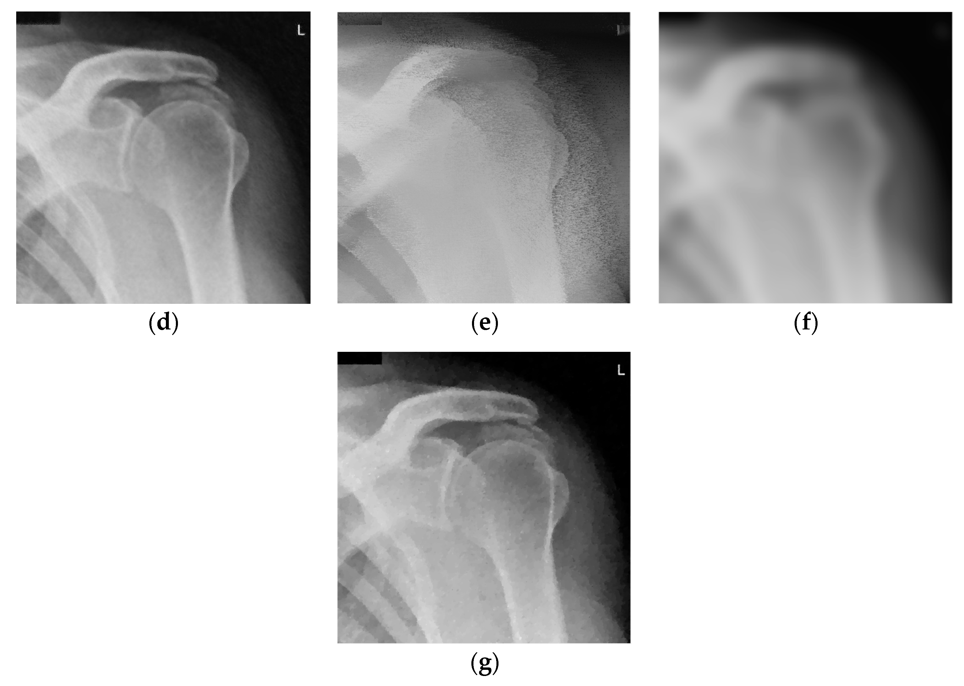 Jimaging 04 00034 g003b