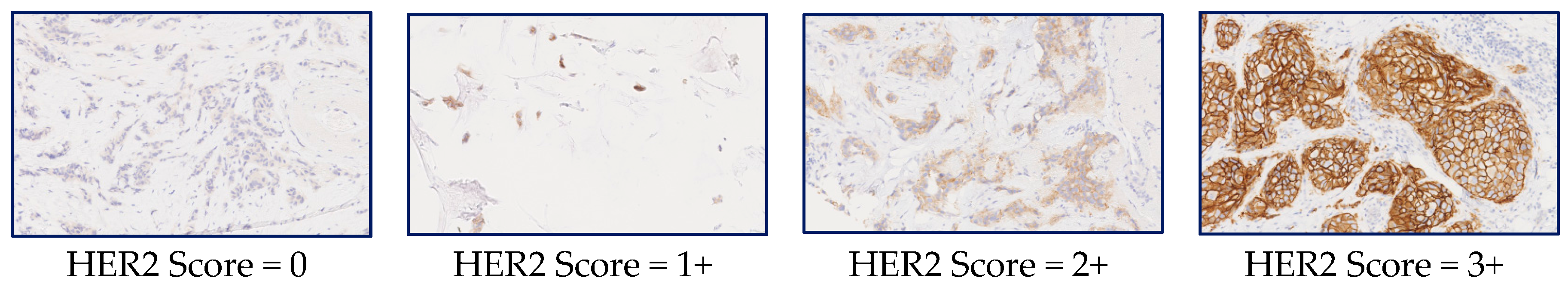 Jimaging 04 00035 g001