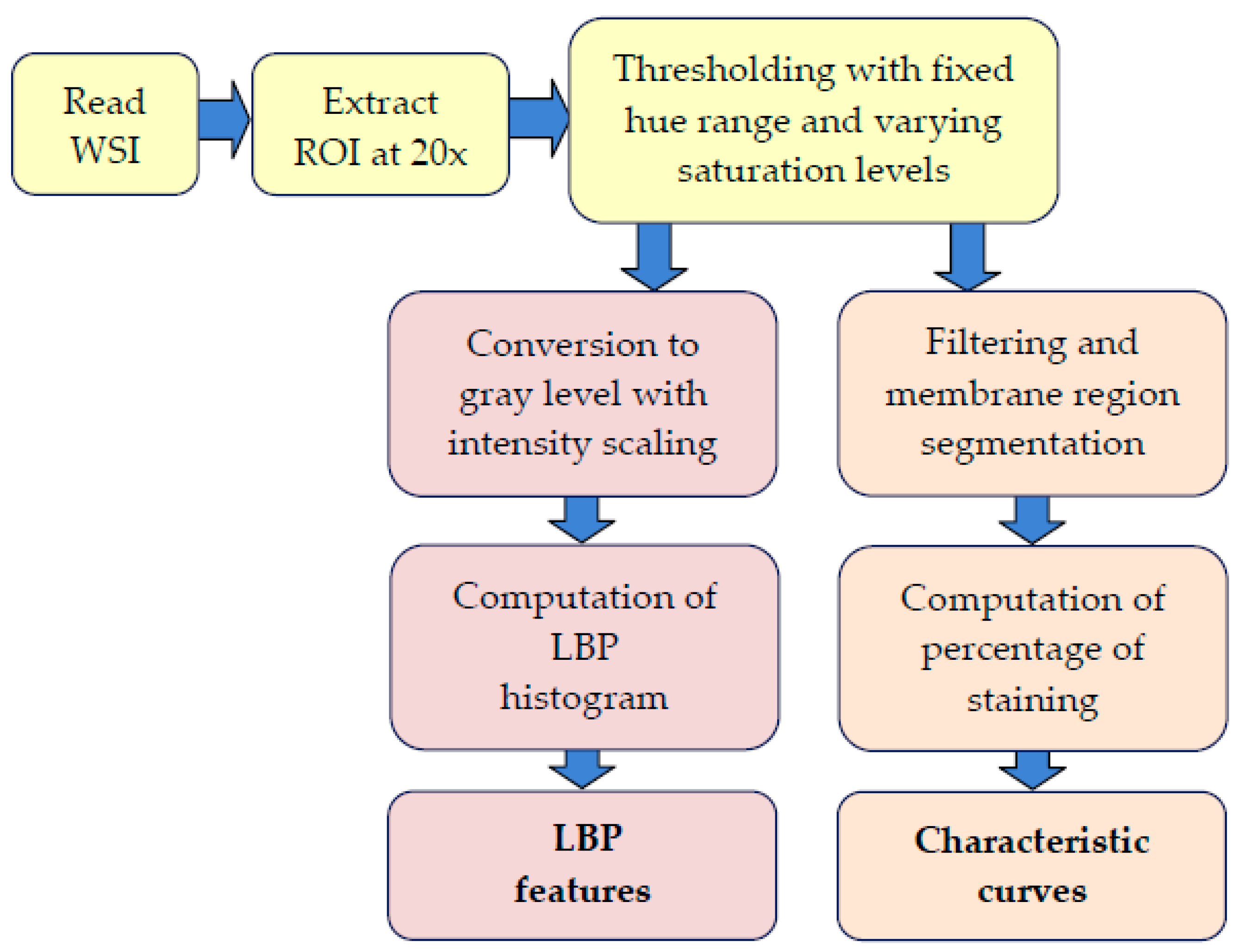 Jimaging 04 00035 g002
