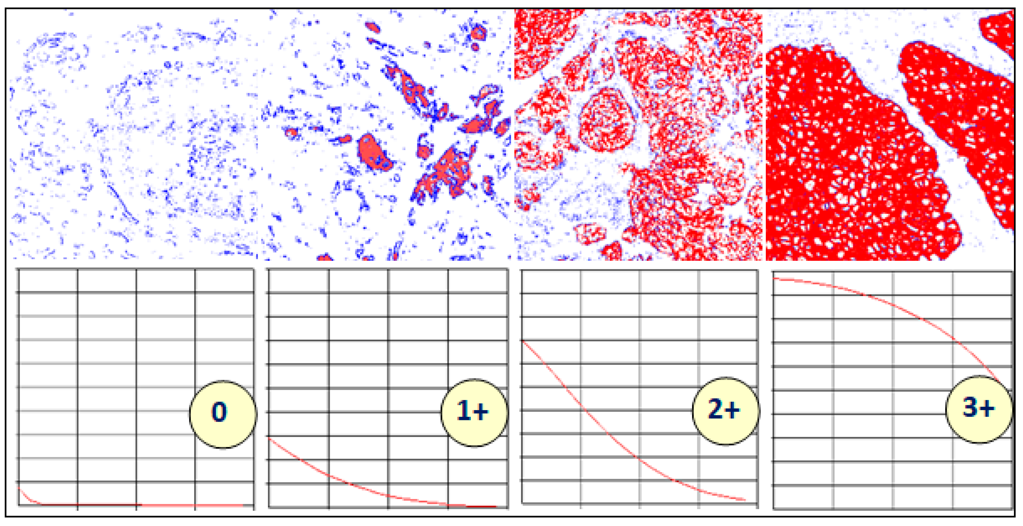 Jimaging 04 00035 g004